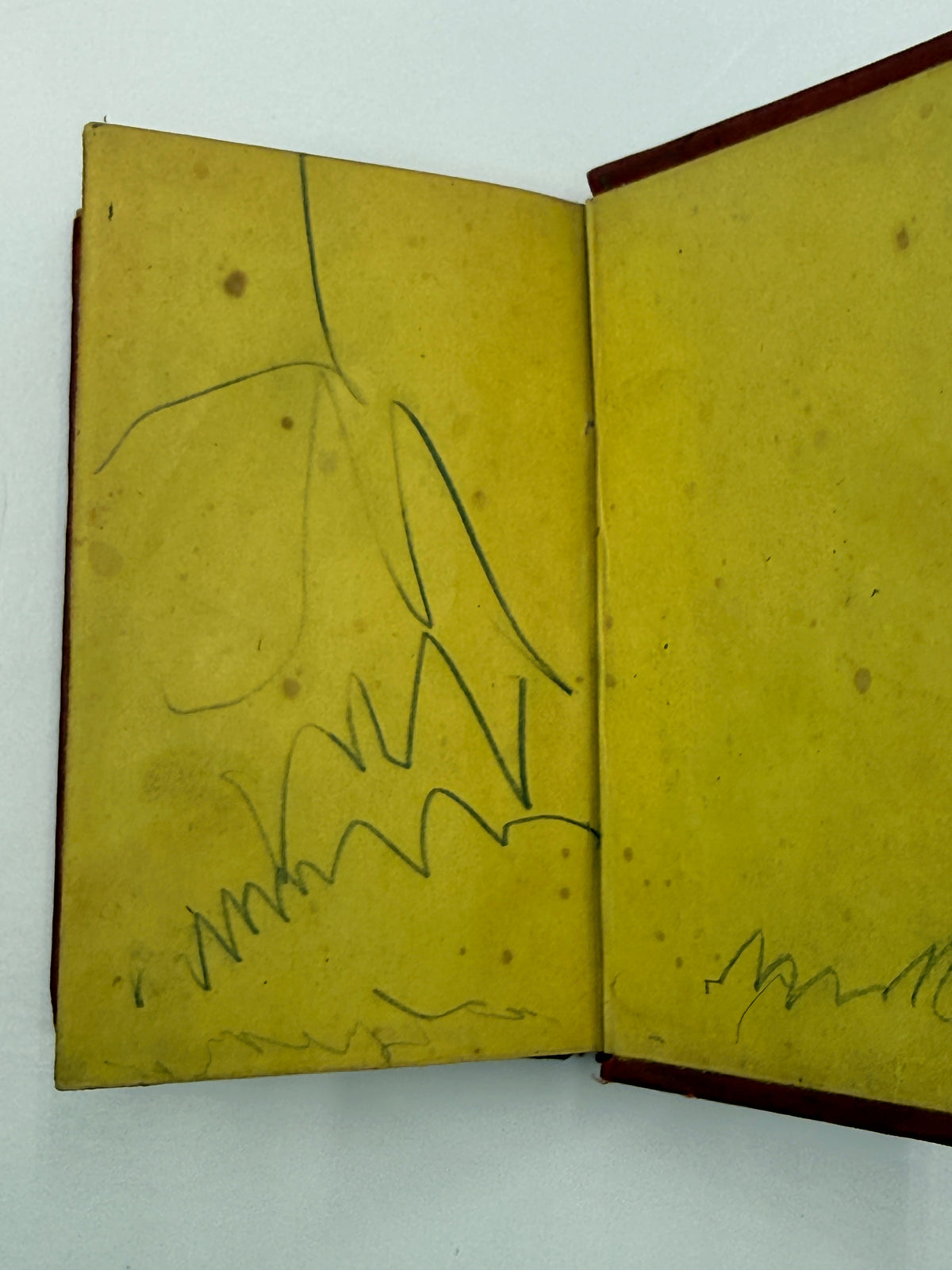 Thoughts Among Flowers, Small Book, 1853
