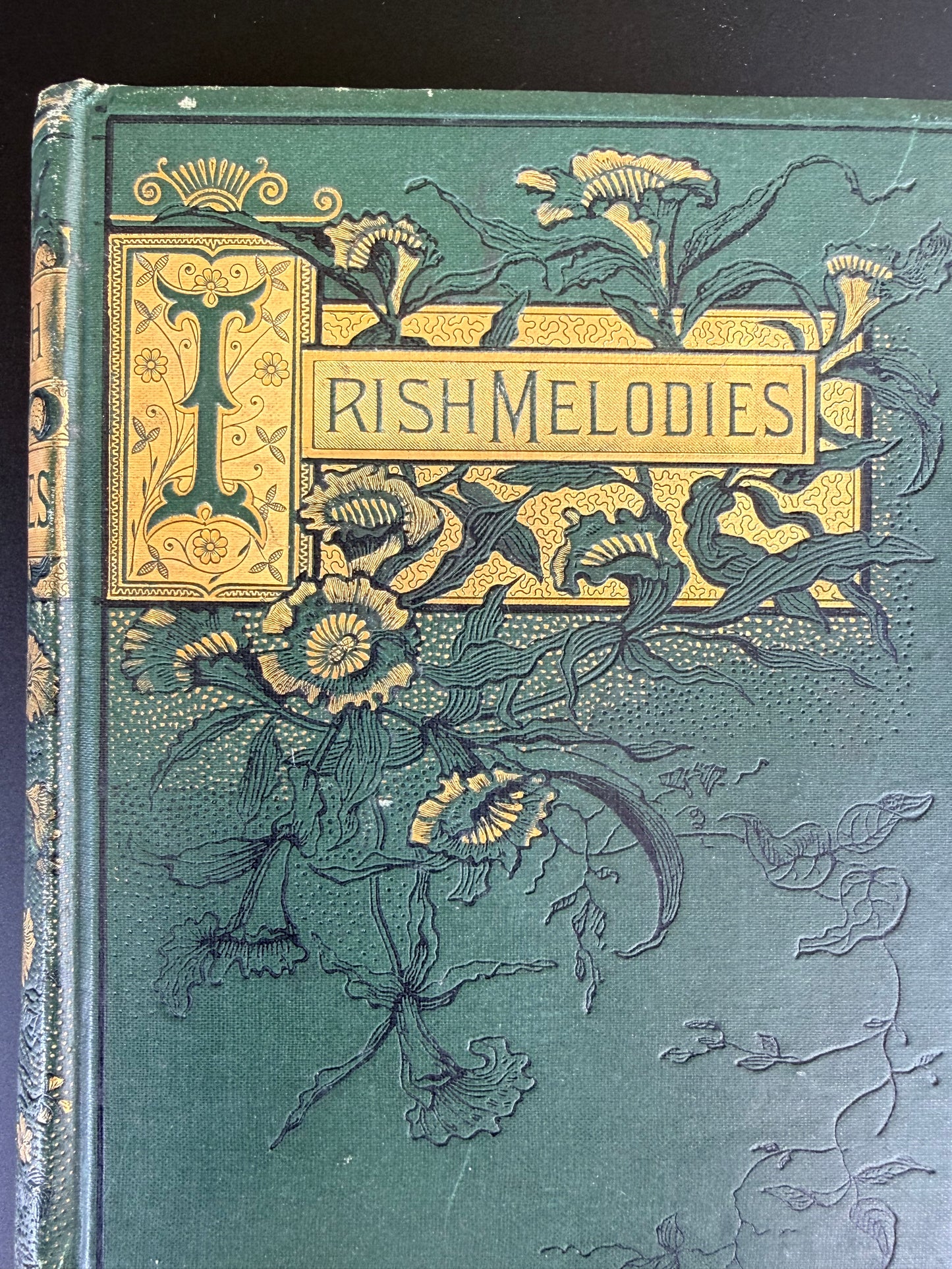 Irish Melodies by Thomas Moore, 1884