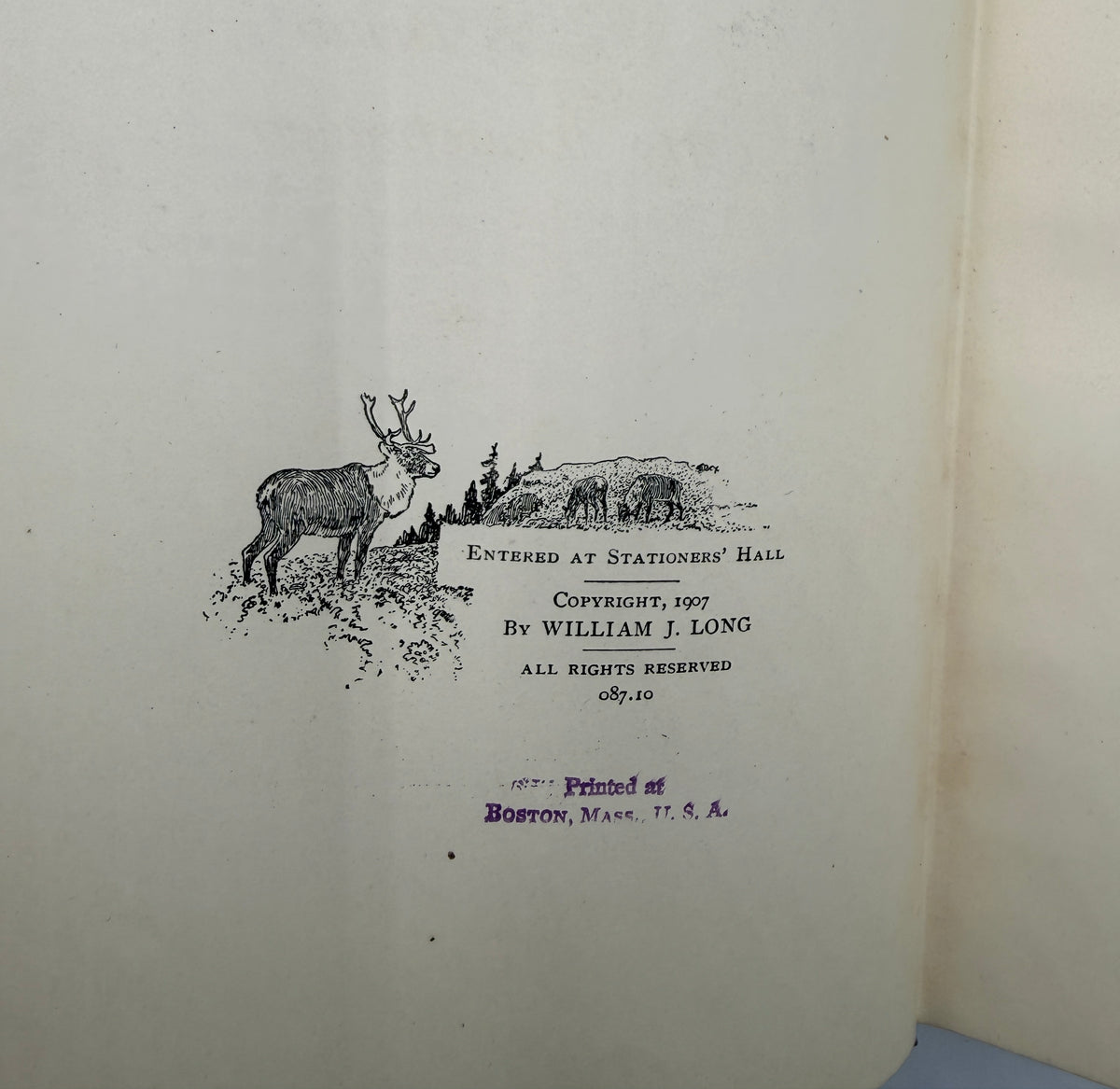 Whose Home is the Wilderness, 1907