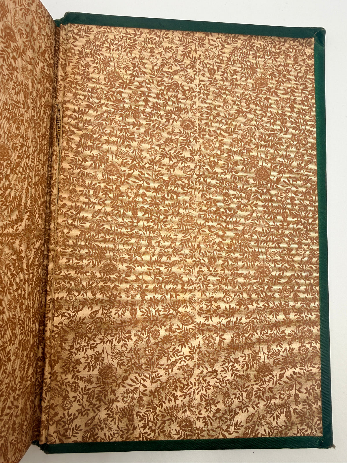 Sir Walter Scott’s Poetical Works, 1880’s