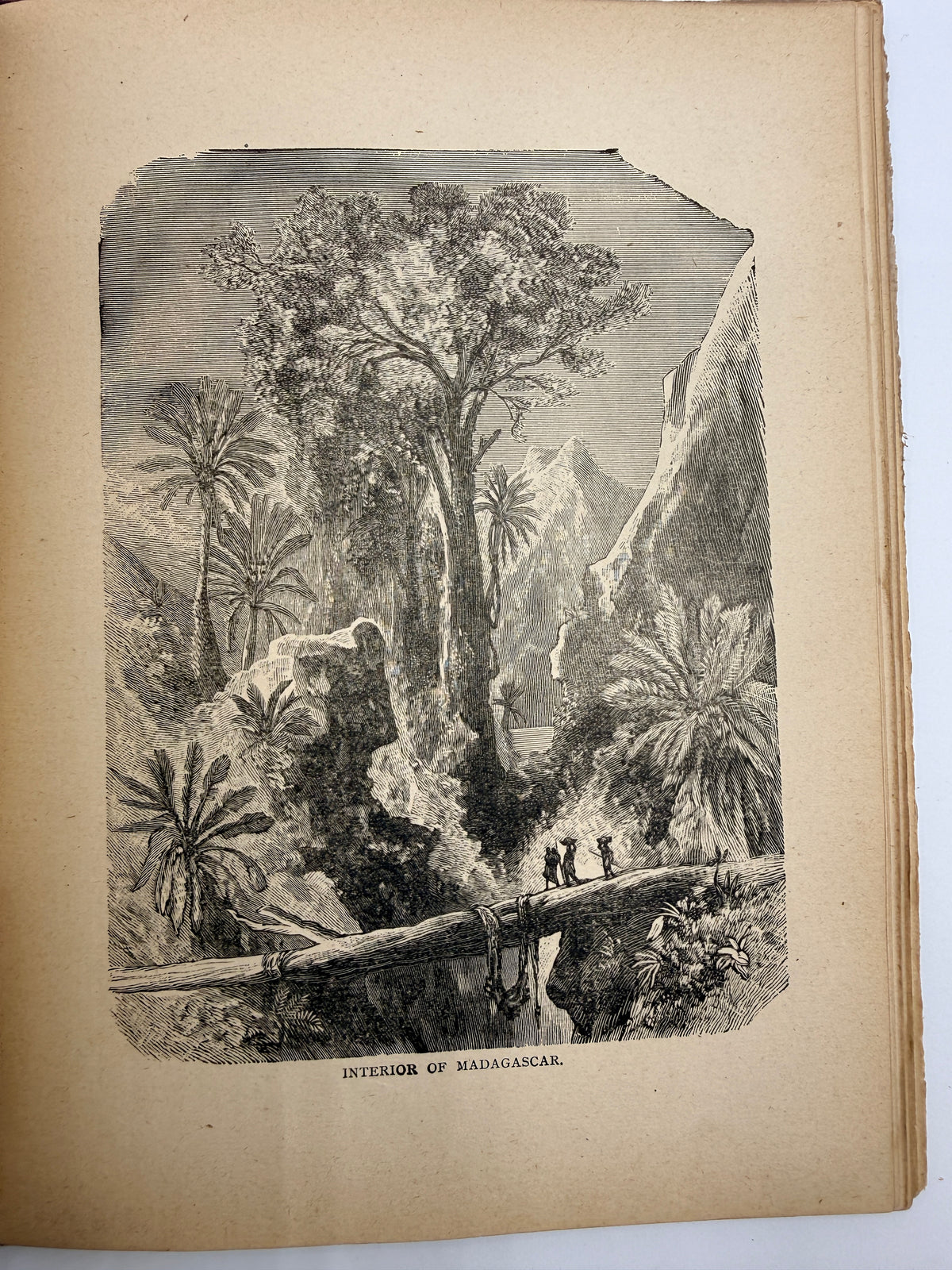 Young Folks Travels: Asia & Africa, 1888