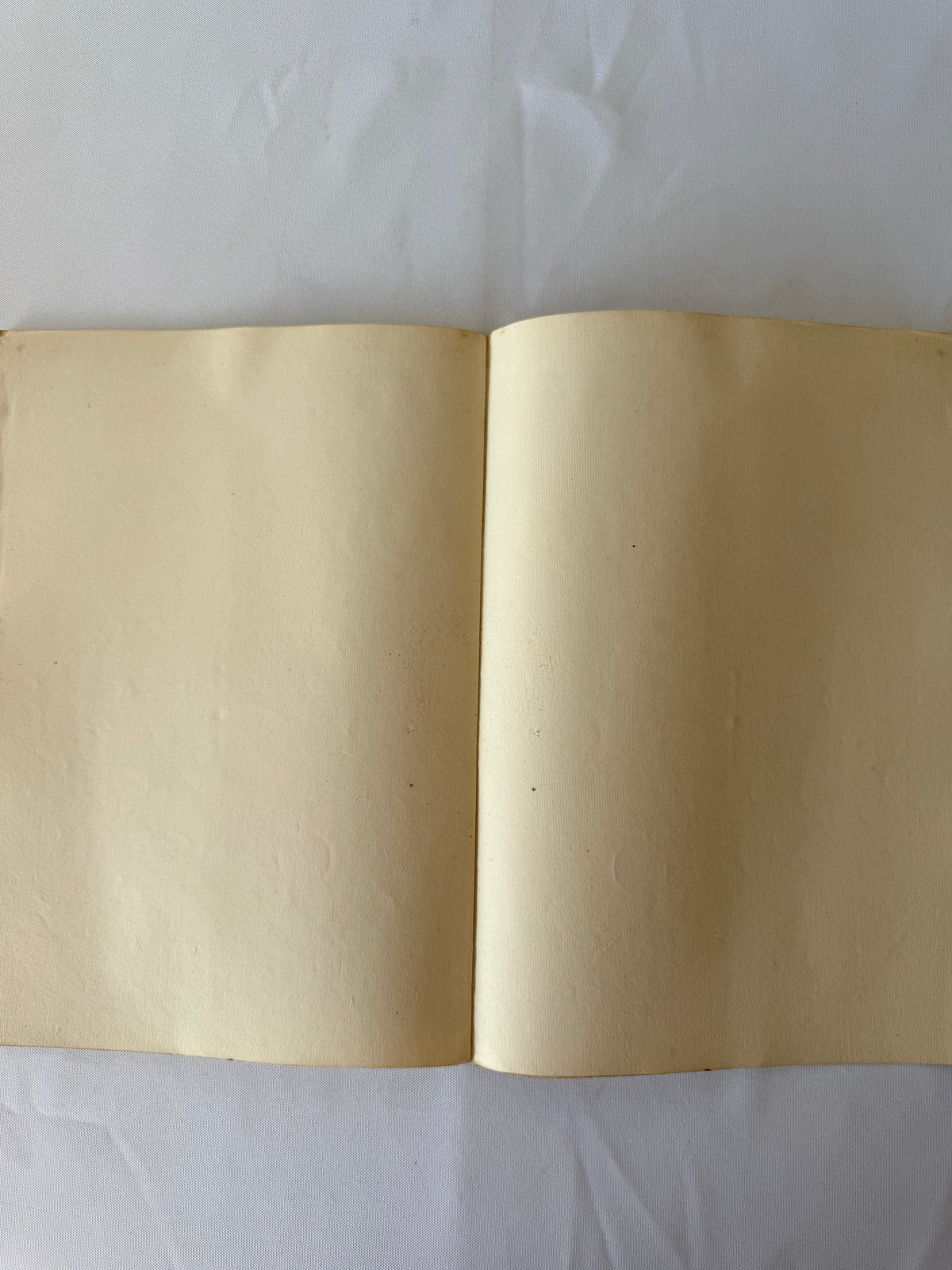 French Publication of Marriage, 1856, Saint Marcellin DSM Vintage