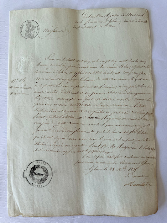 French Handwritten City Hall Document, 1828, Grenoble