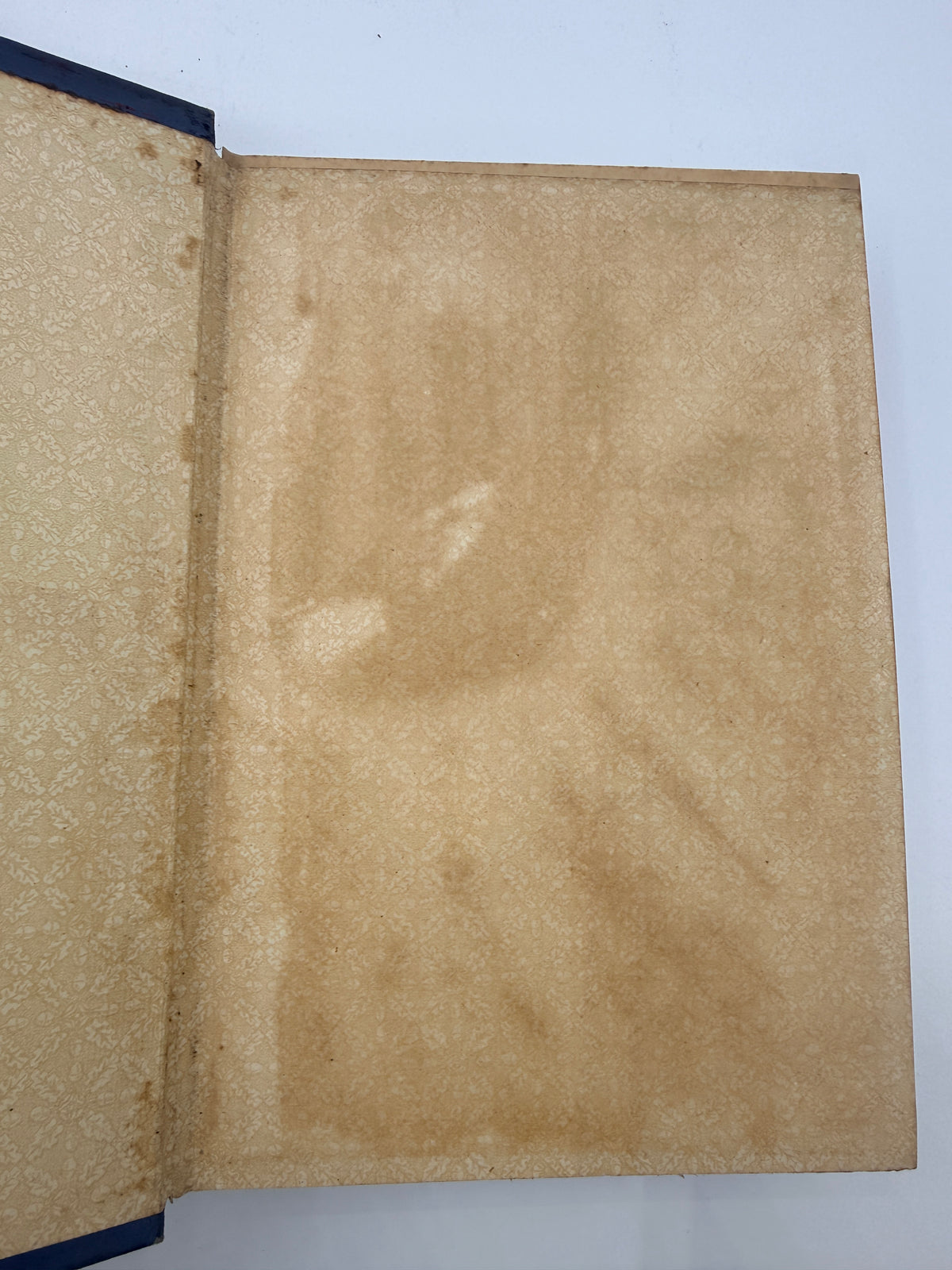 Life in Tangles by Agnes Giberne, Decorative English Binding