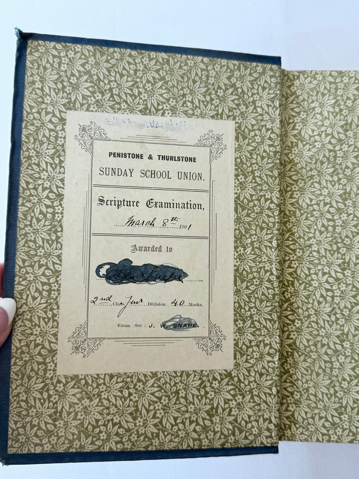 A Mountain Daisy, Decorative Antique Book DSM Vintage