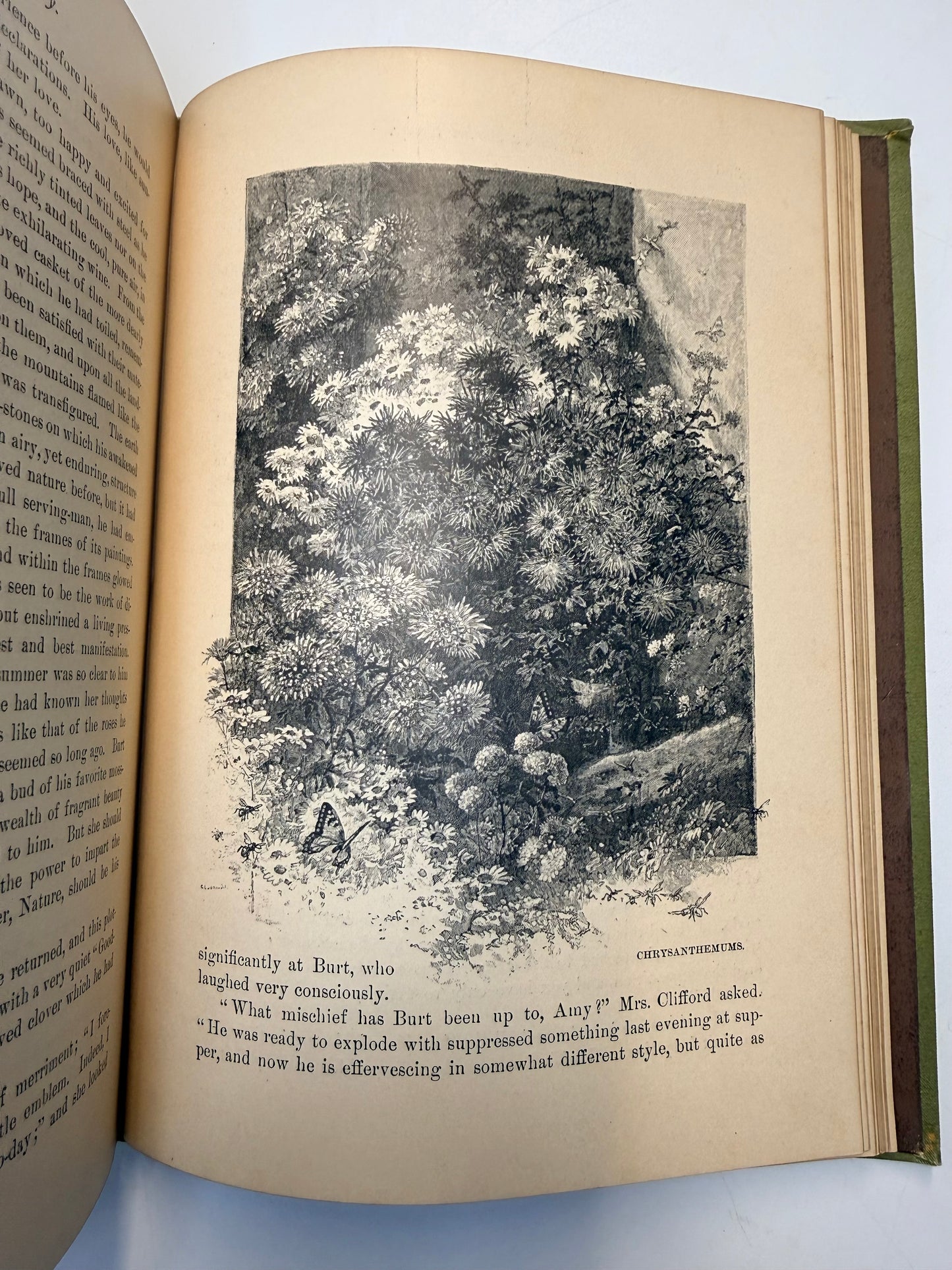 Nature’s Serial Story, 1885