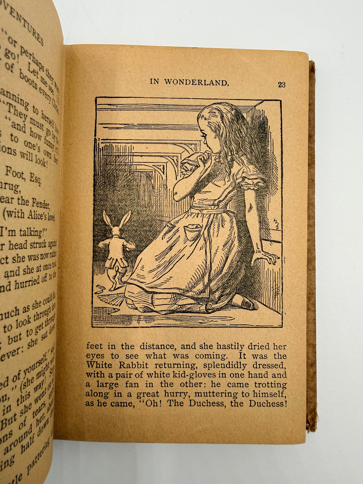 Alice’s Adventures in Wonderland by Lewis Carroll, ~1900