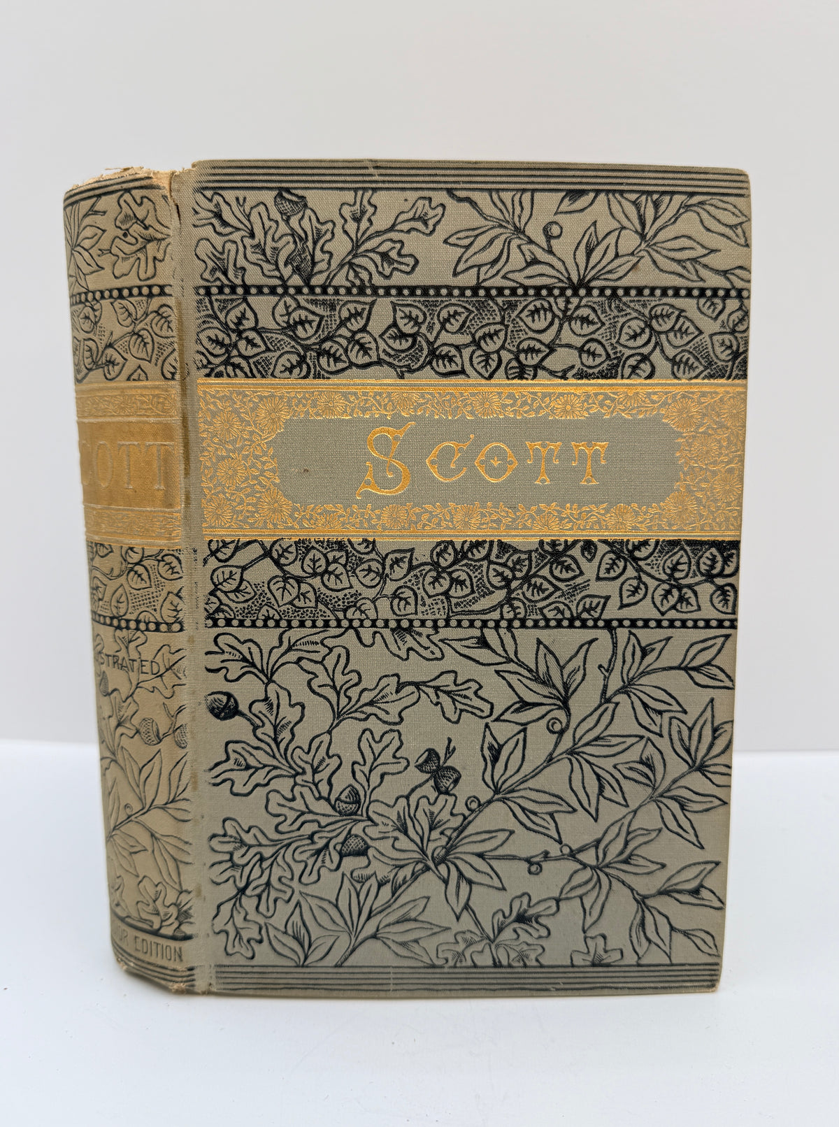 Sir Walter Scott’s Poetical Works, Lady of the Lake