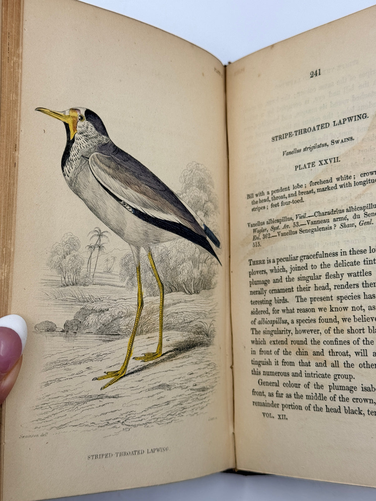 Ornithology: The Naturalist’s Library by Sir William Jardine, Vol 12, Birds of Western Africa