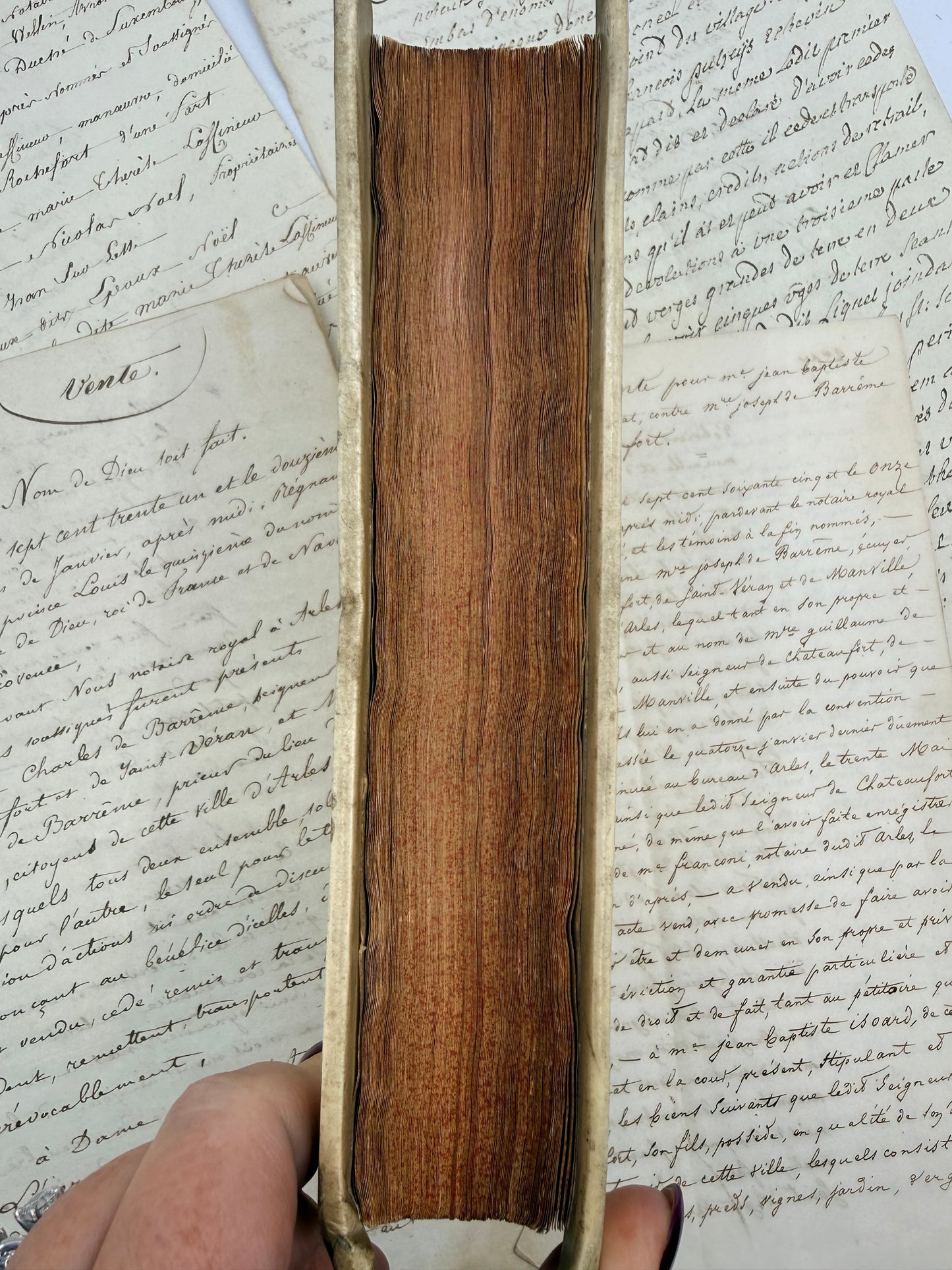 Octavius by Minucius Felix, White Vellum Book, 1709, Latin