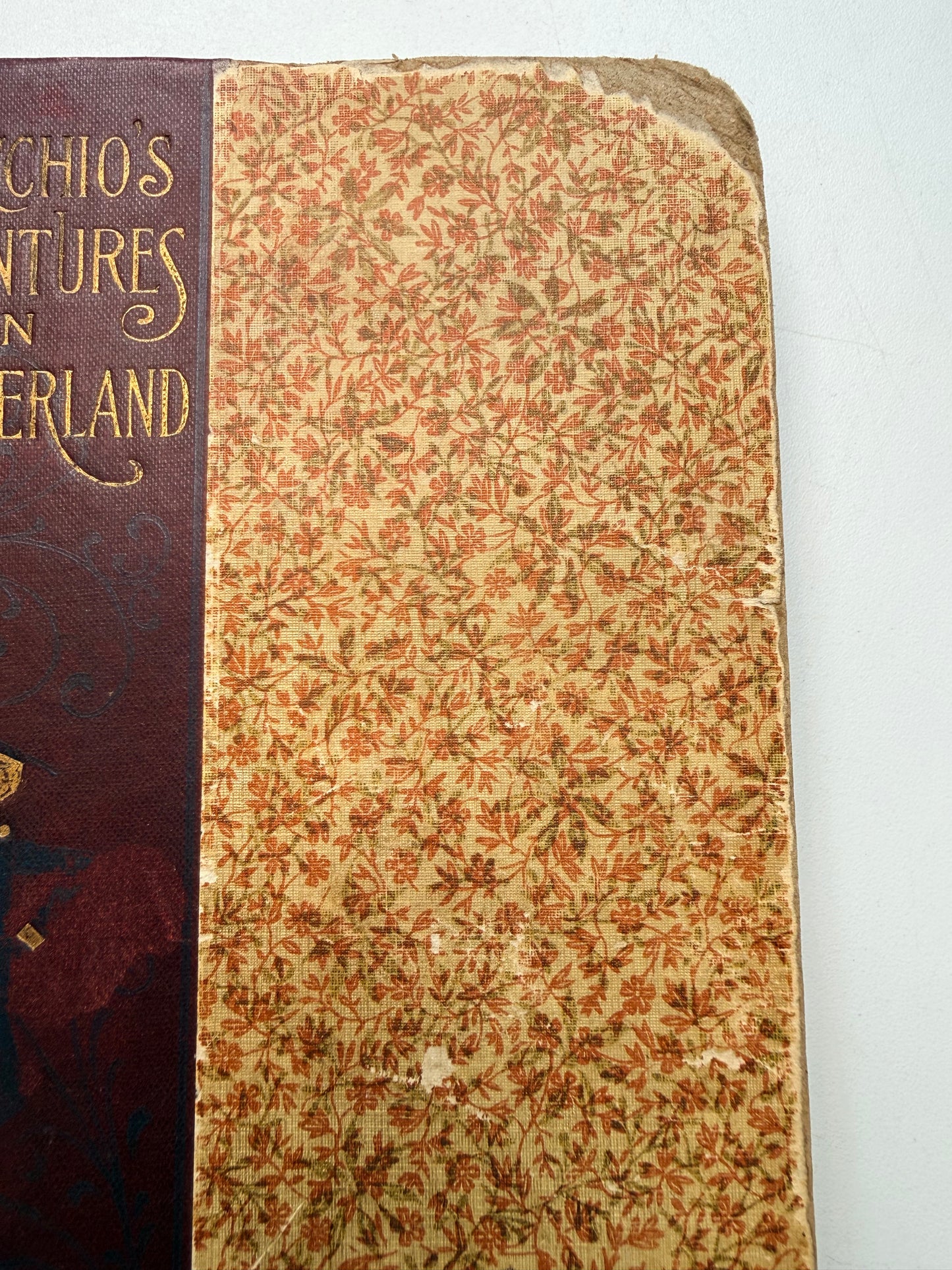 Pinocchio’s Adventures in Wonderland, 1898