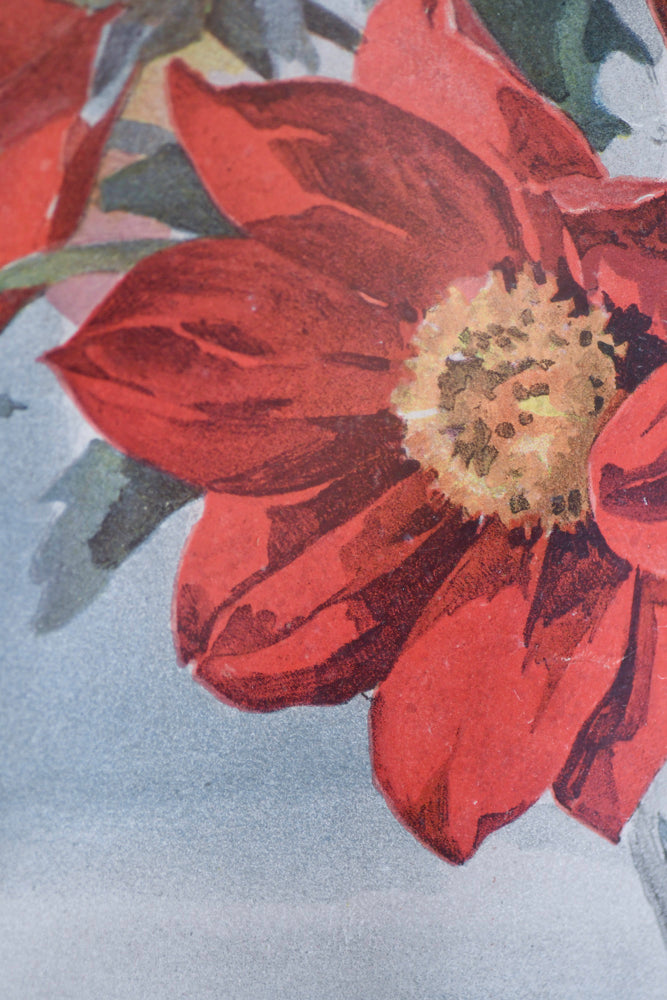 Paul de Longpre Framed Pink Floral Print