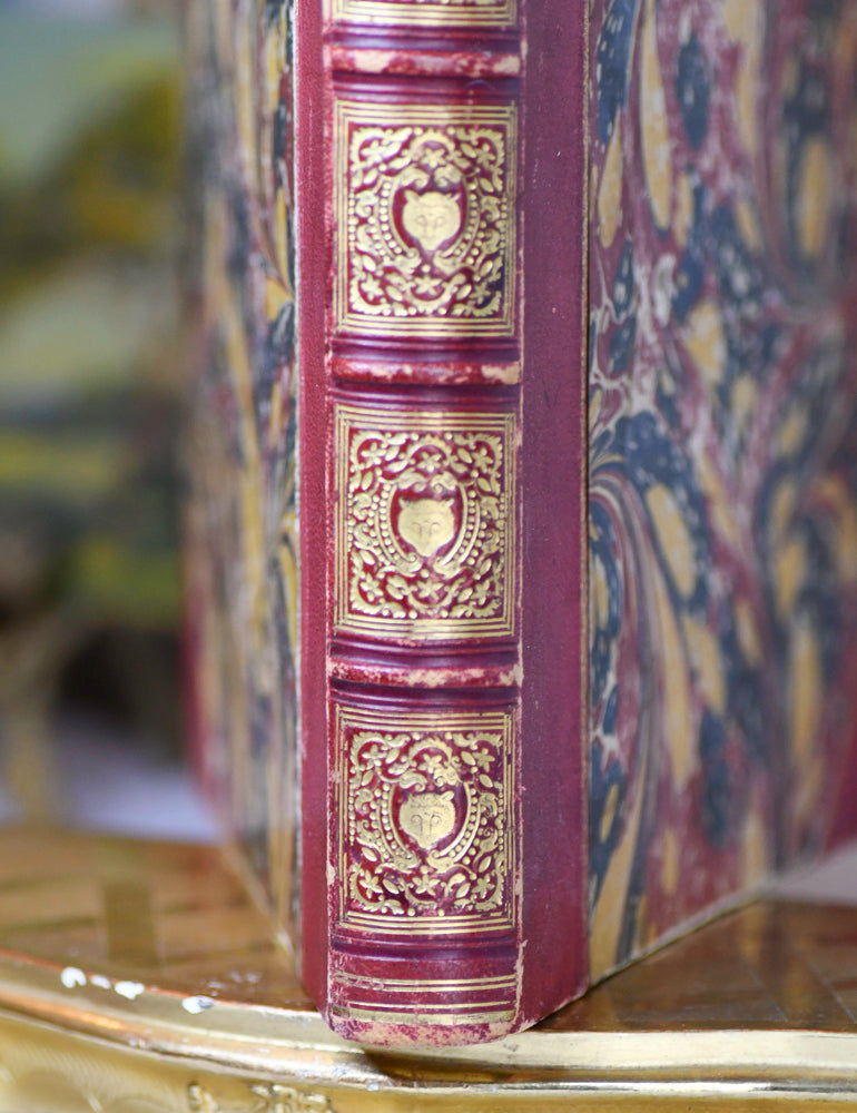 Wolfgang von Goethe's Fable, Reincke Fuchs, German Fable, 1846