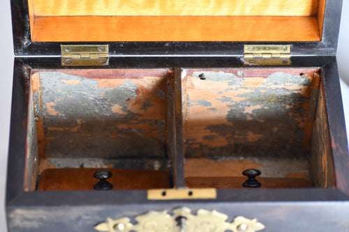Antique Coromandel Wood Tea Box, 8"