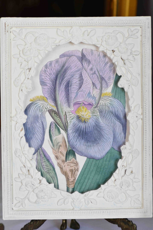 Purple Iris Framed Print in Vintage Frame, 8.5"