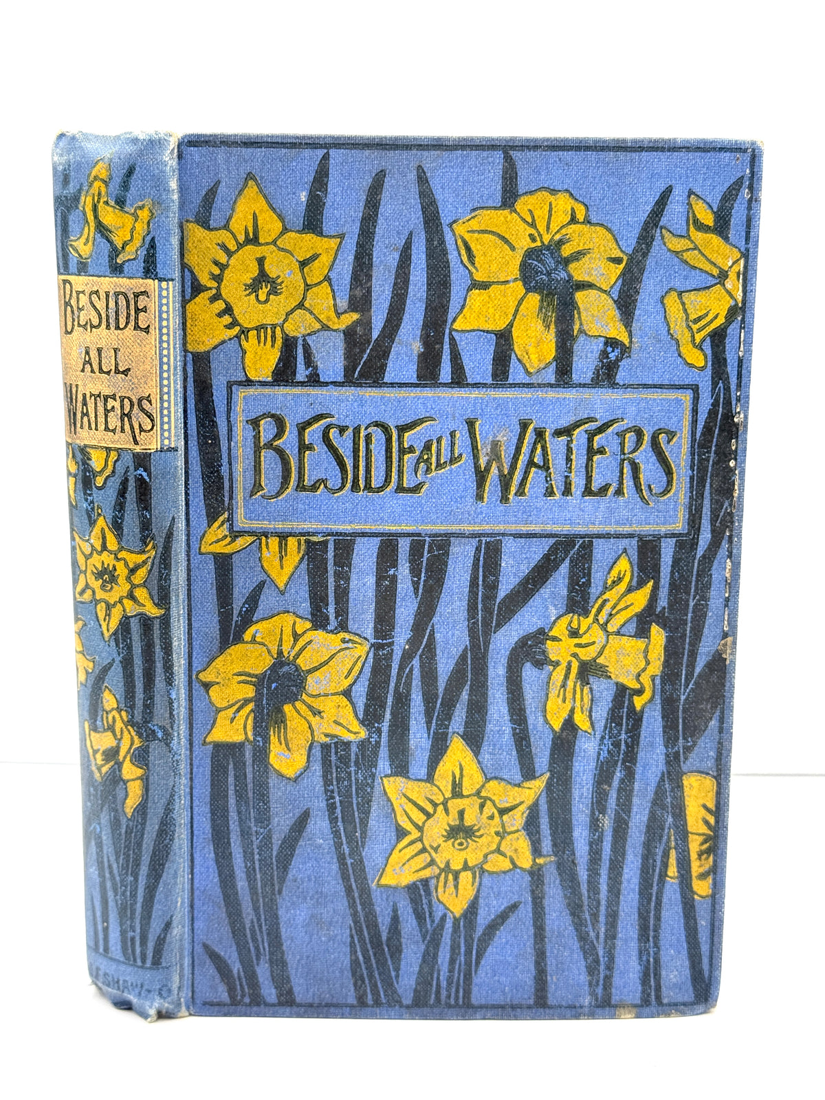 Beside All Waters by M L Astree