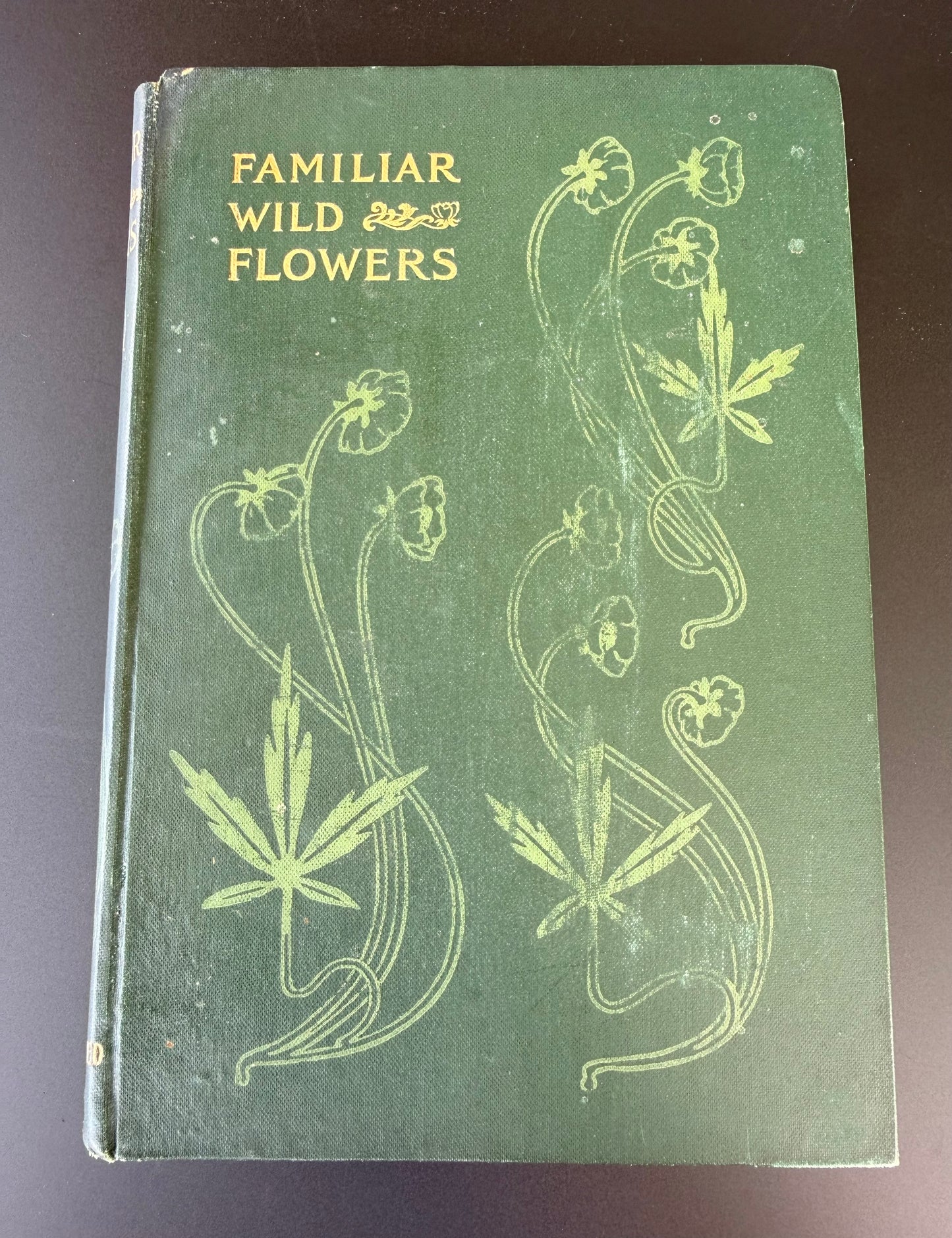 Familiar Wild Flowers, F Edward Hulme