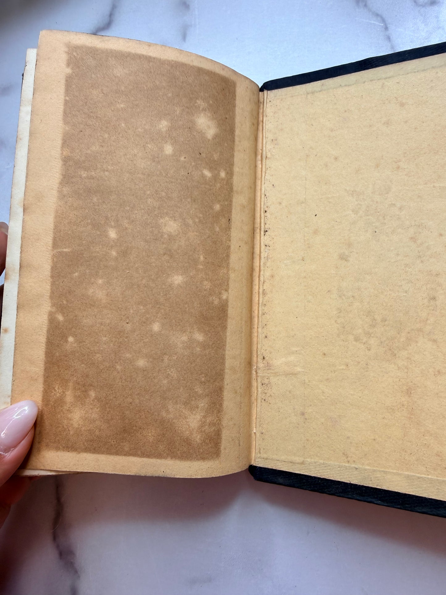 French Antique Book on the History of the Life of Jesus Christ