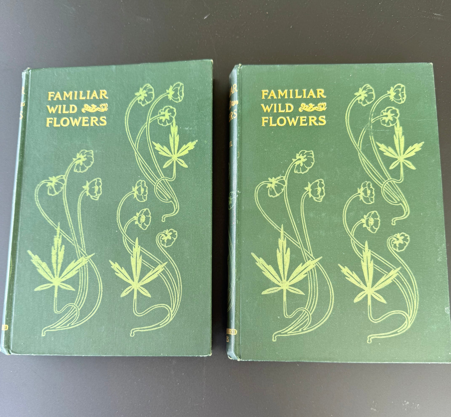 Familiar Wild Flowers, F Edward Hulme