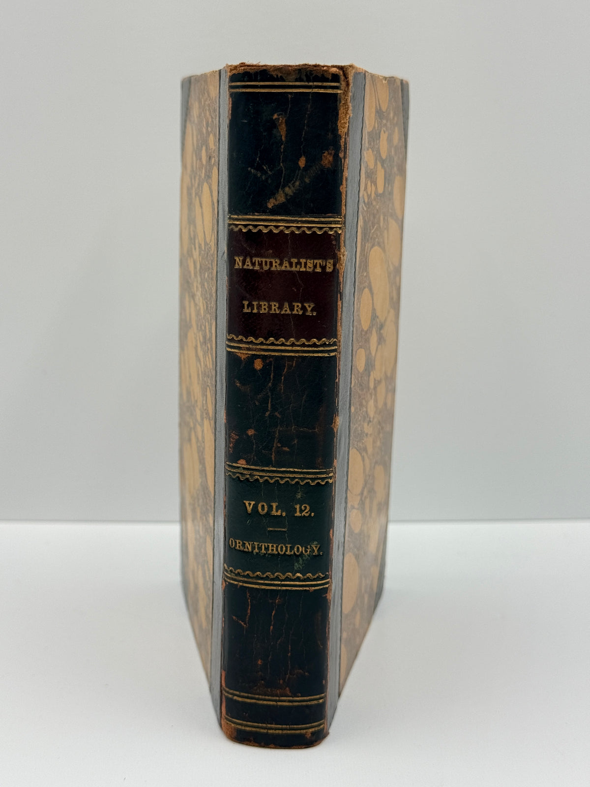 Ornithology: The Naturalist’s Library by Sir William Jardine, Vol 12, Birds of Western Africa