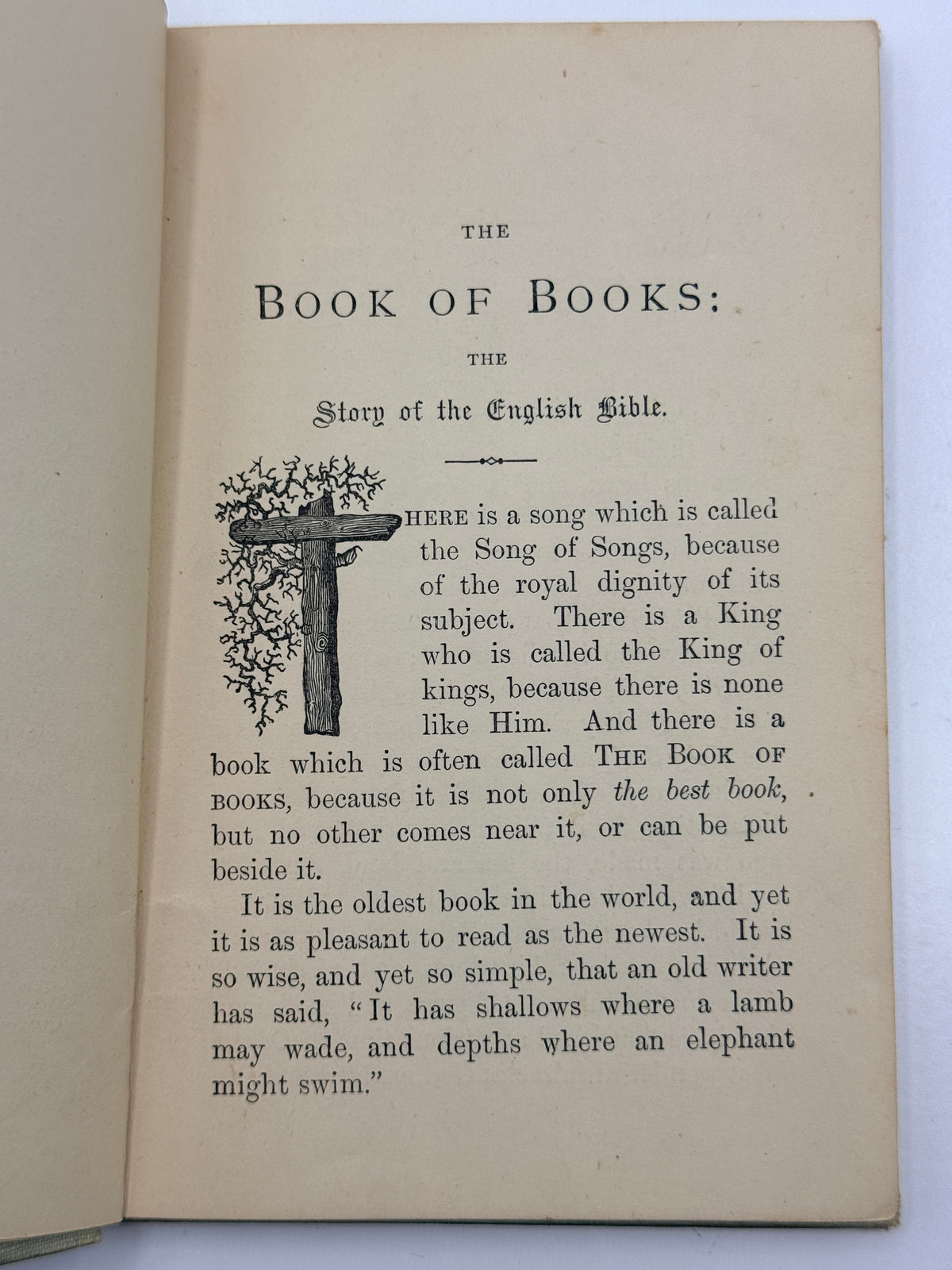 The Book of Books, The Story of the English Bible