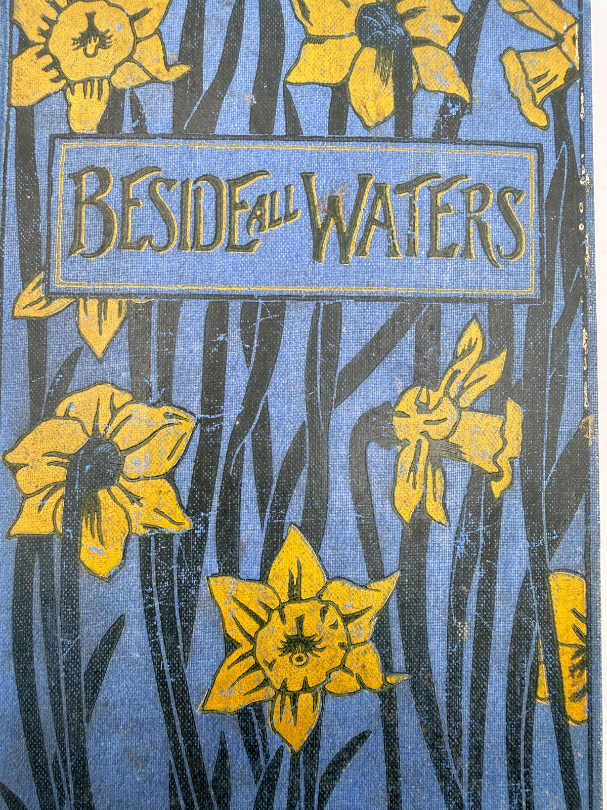 Beside All Waters by M L Astree