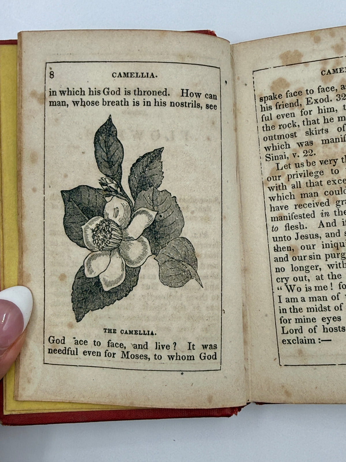 Thoughts Among Flowers, Small Book, 1853