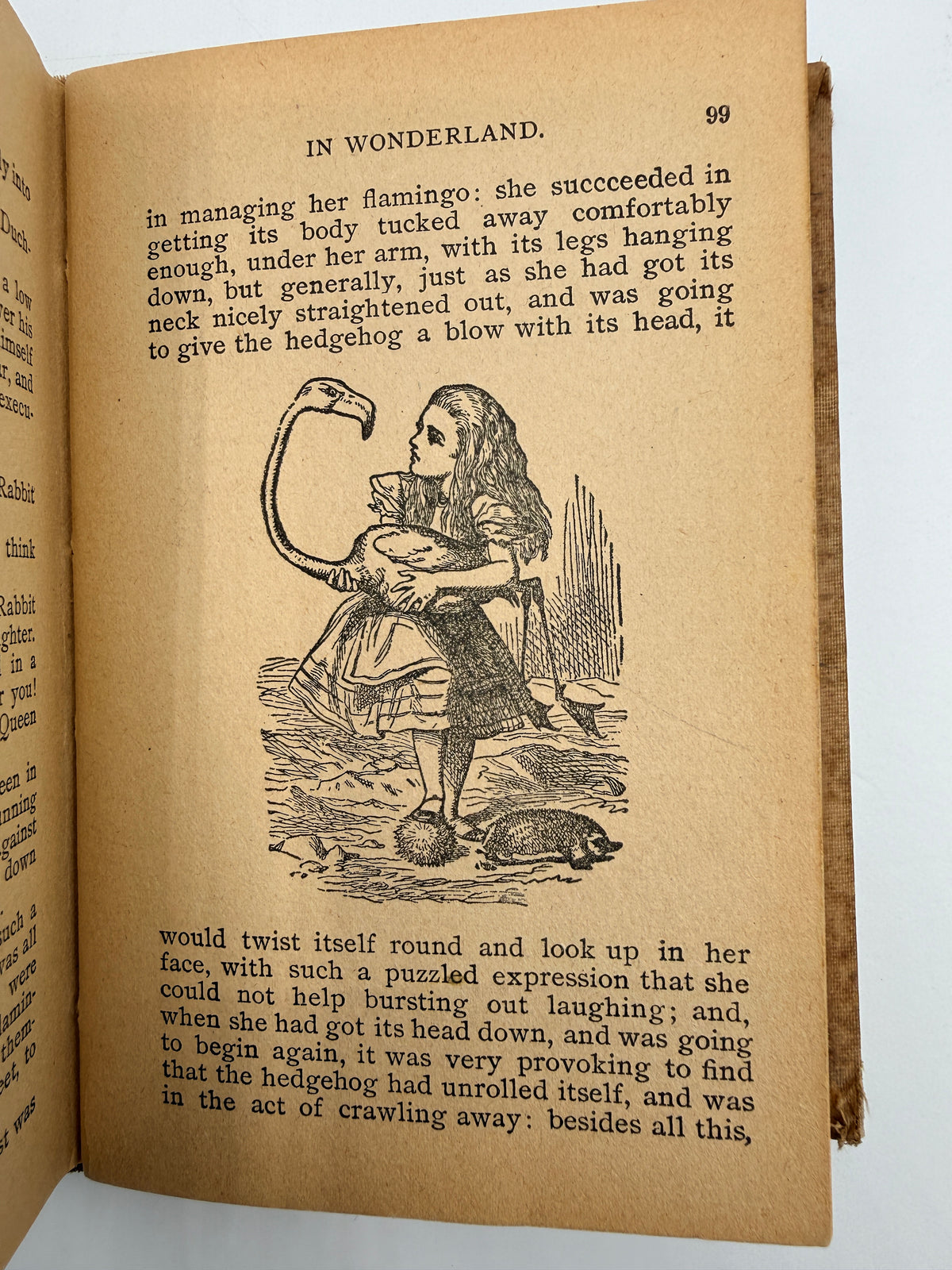 Alice’s Adventures in Wonderland by Lewis Carroll, ~1900