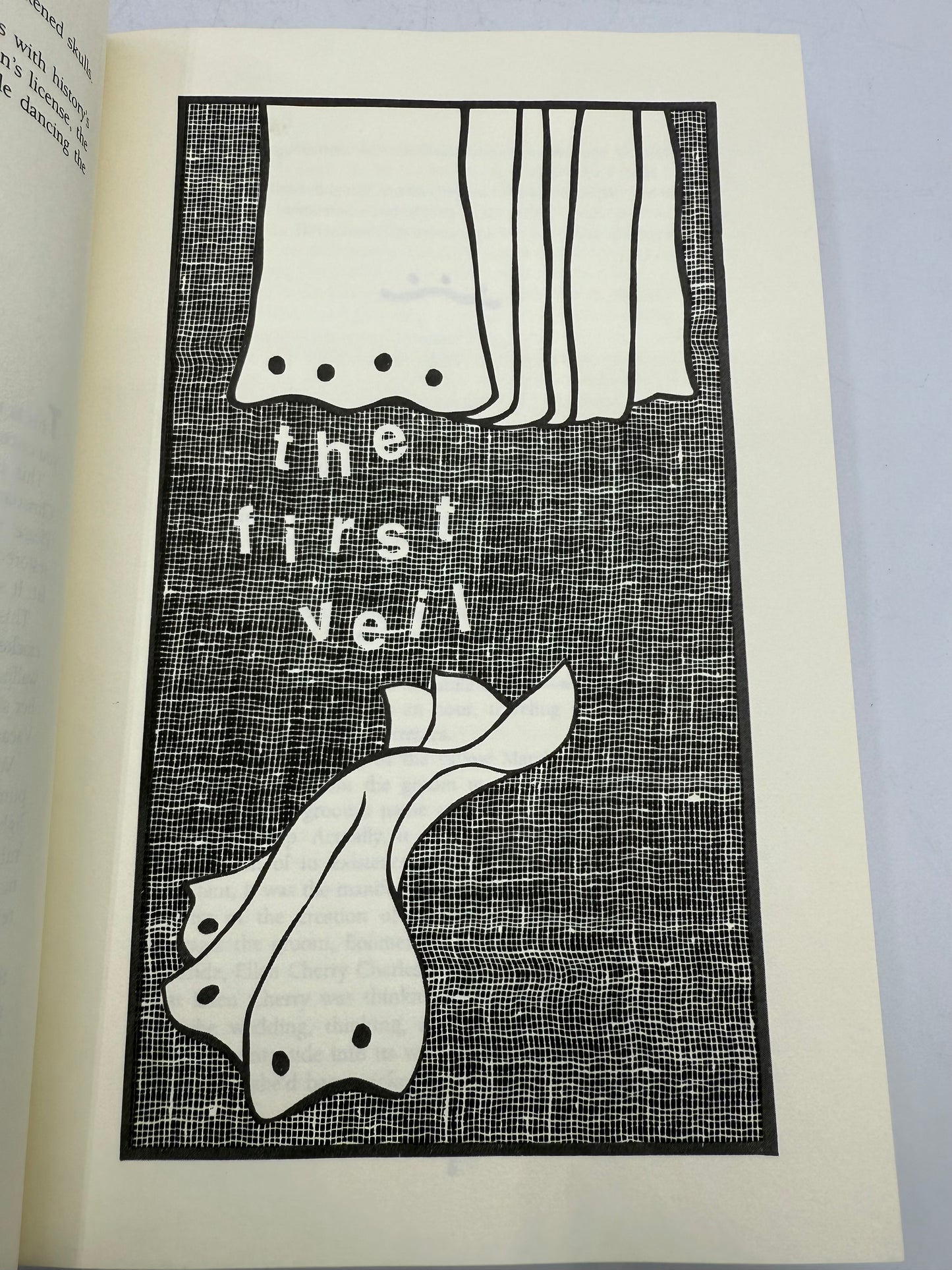 Illustration of a veil with text 'the first veil' on a book page.