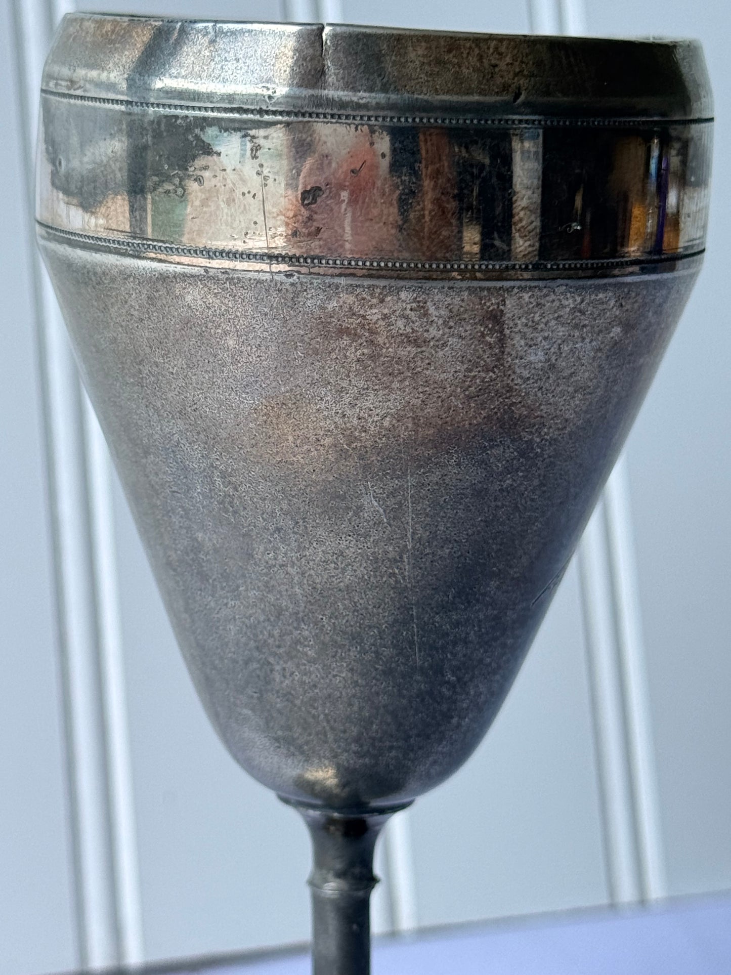 Meridan Silver Plated Goblet with Engraved Design