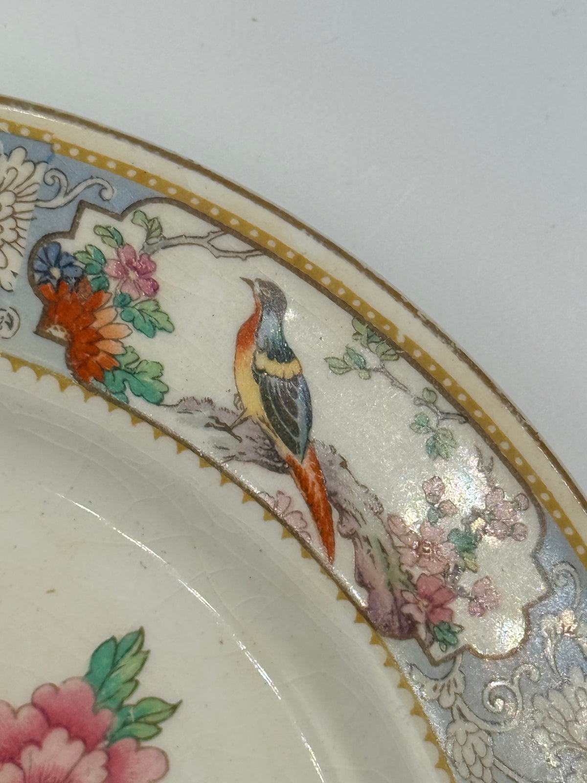 Johnson Brothers The Vigo Salad Plate, 7”