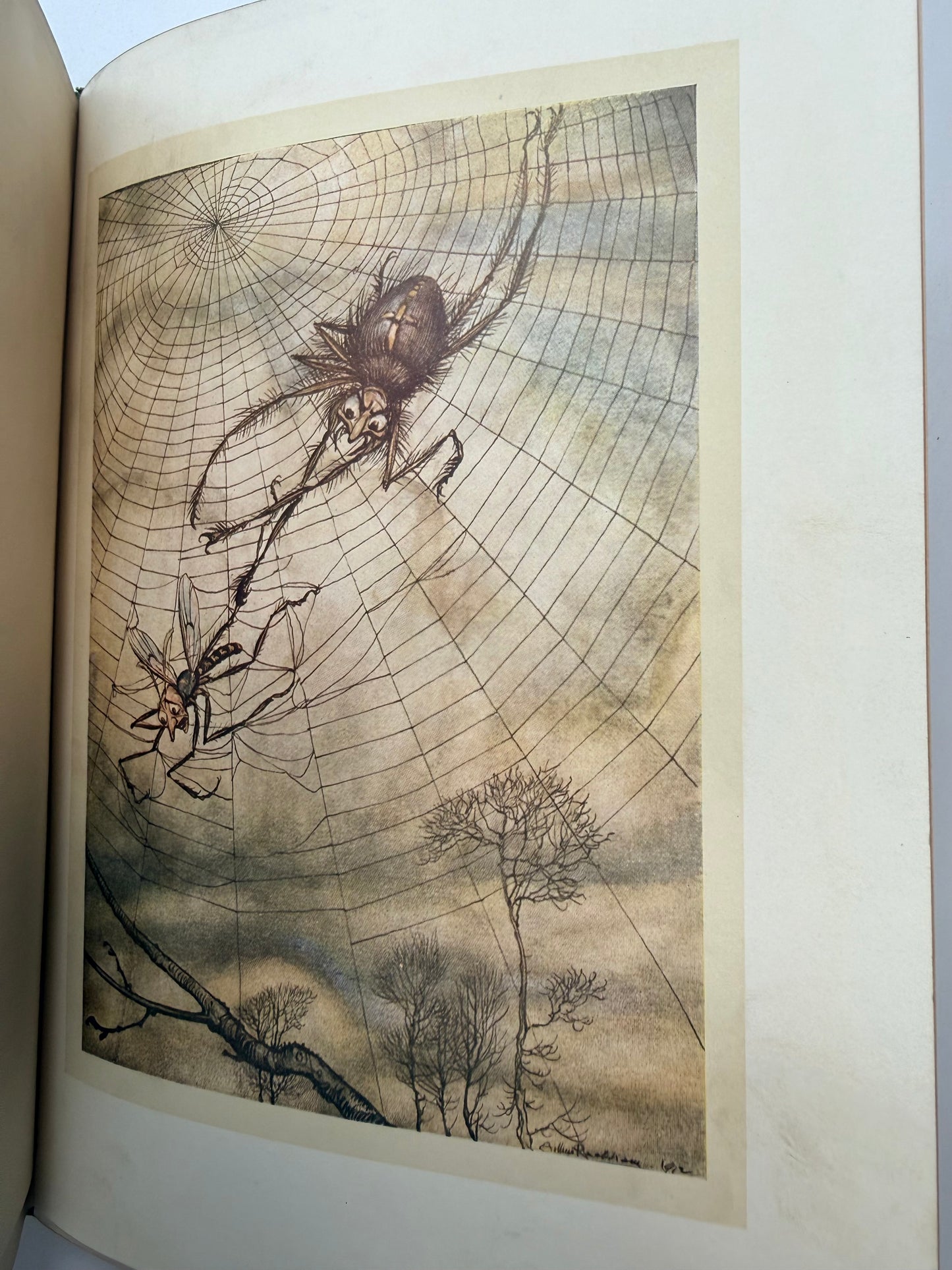 Aesop’s Fables with Illustrations by Arthur Rackham, 1912