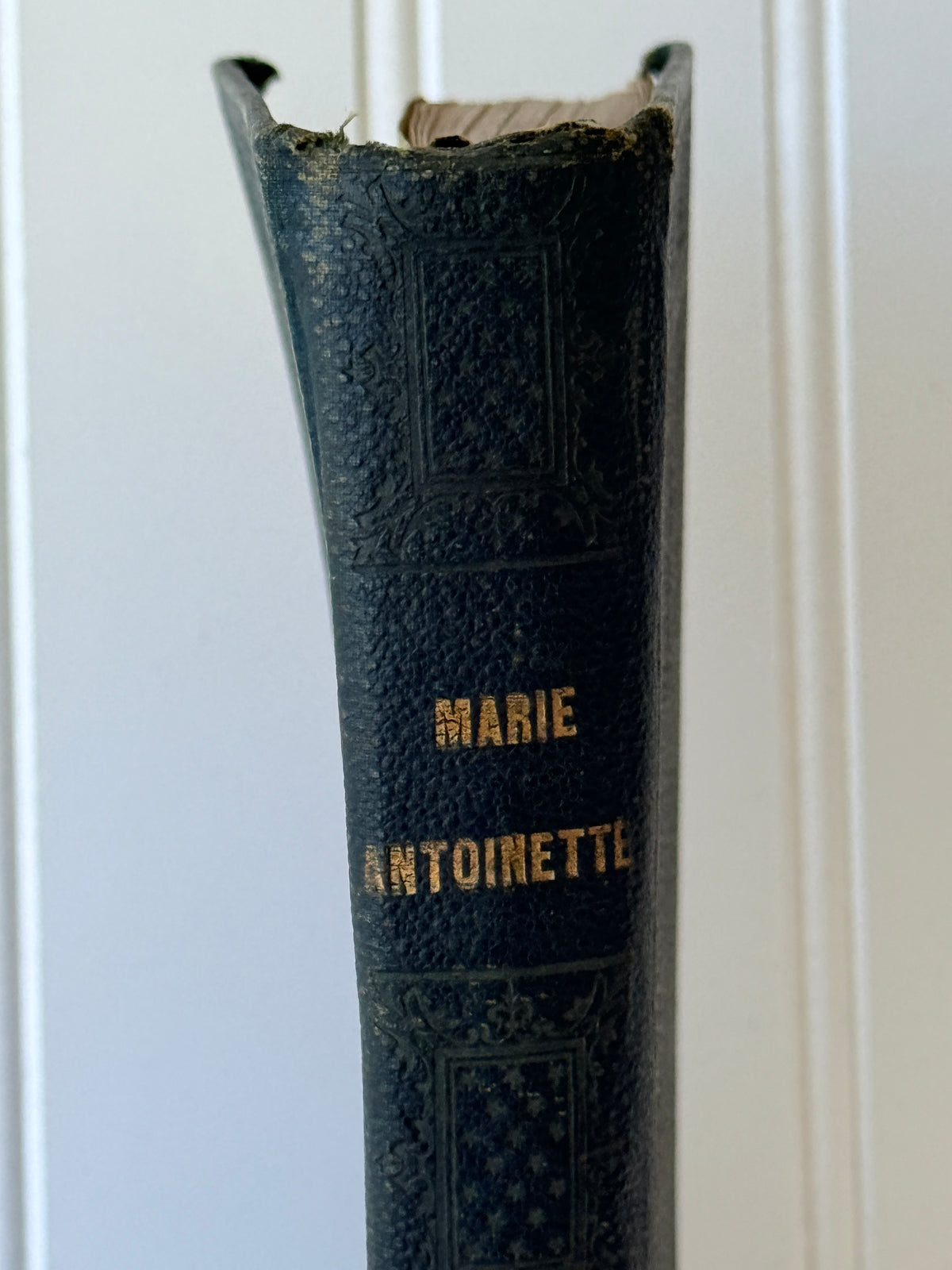 History of Marie Antoinette, French, 1860