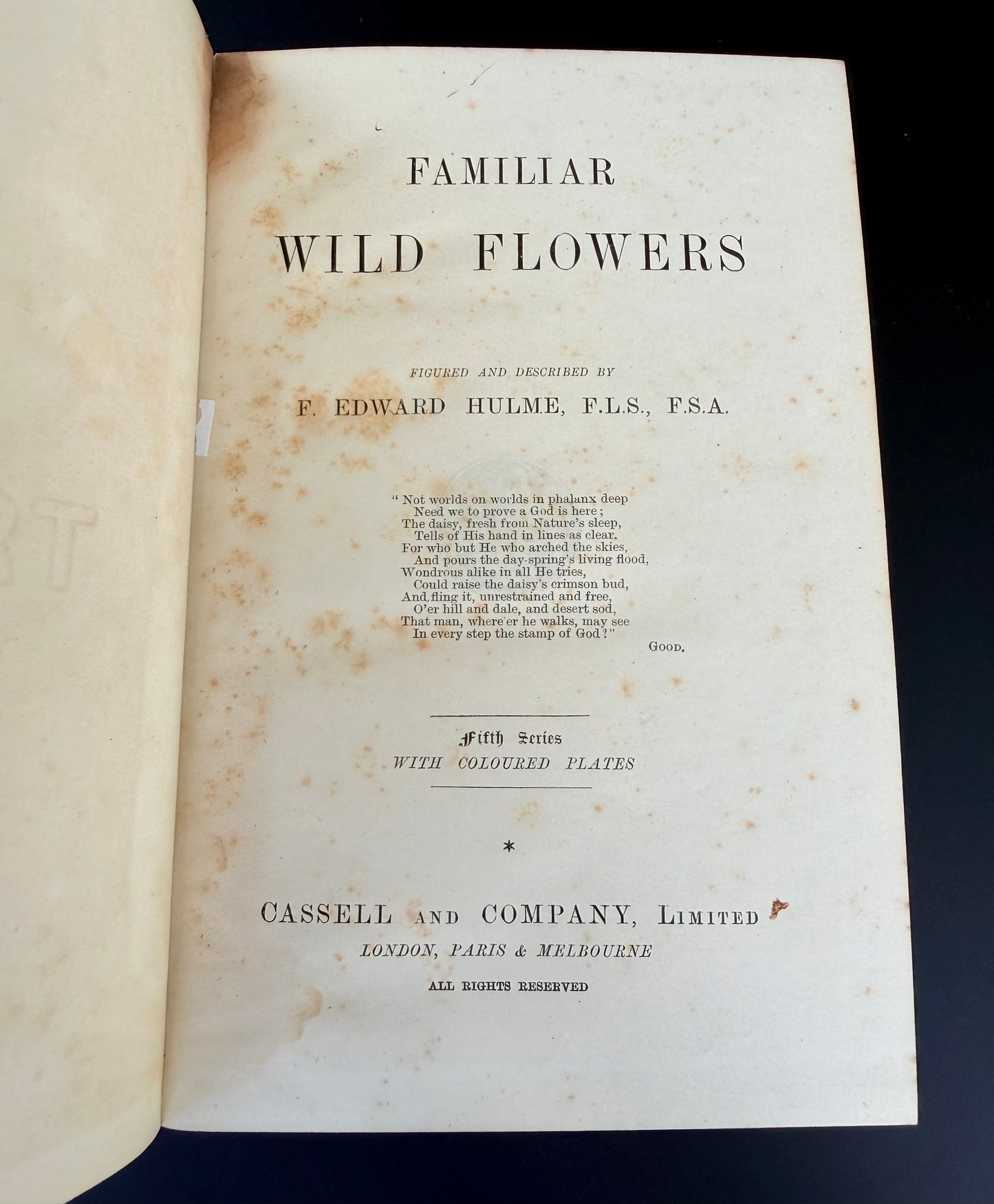 Familiar Wild Flowers, F Edward Hulme