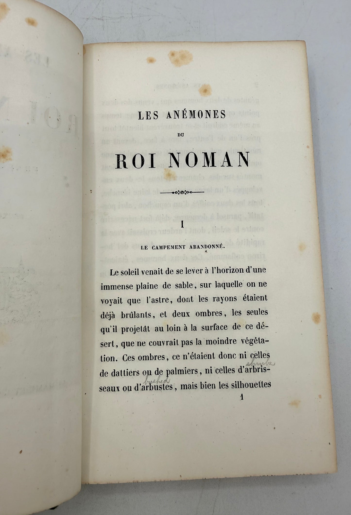 The Years of King Noman, French Cartonnage, 1860