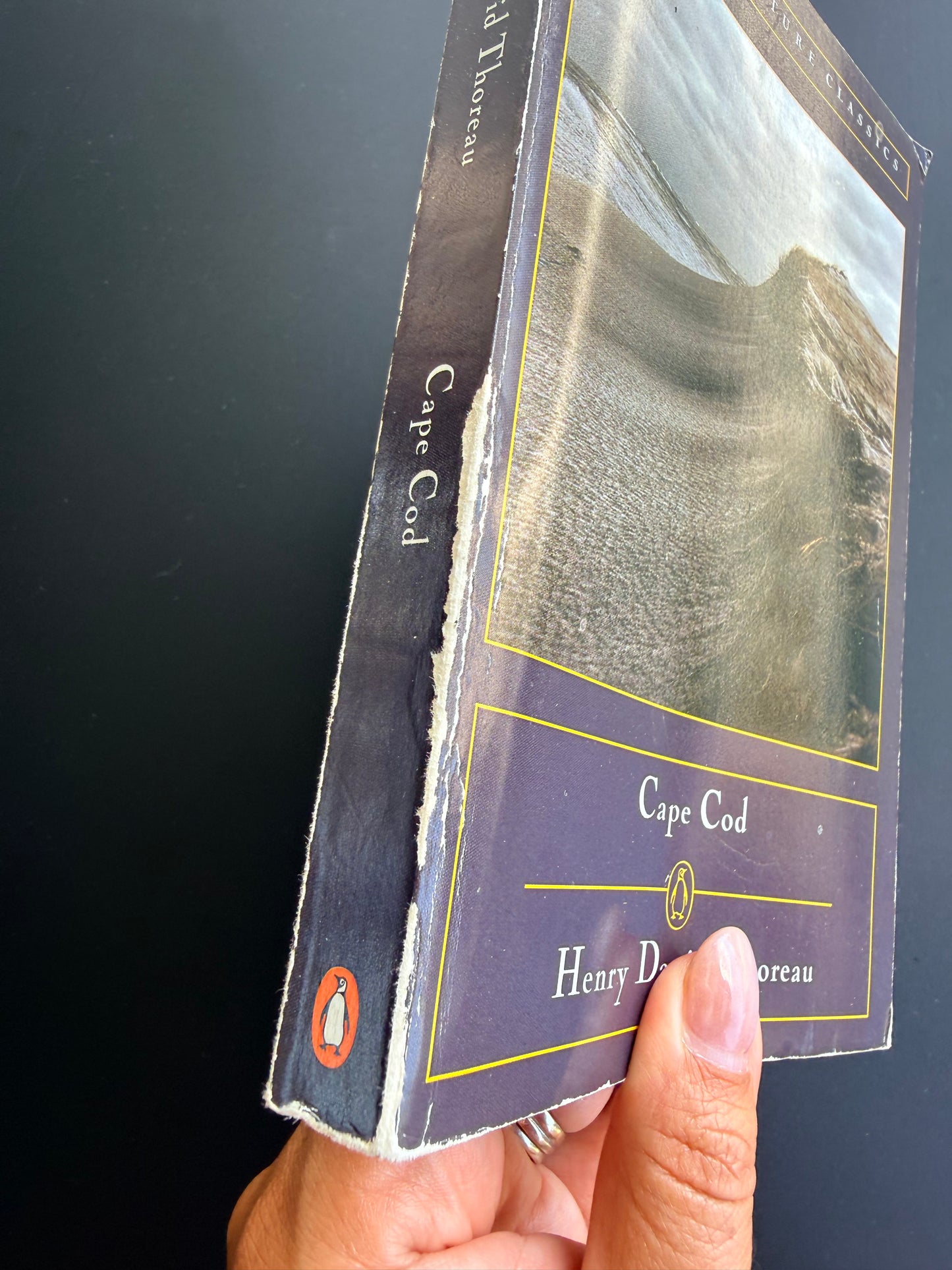 Cape Cod by Henry David Thoreau, 1987