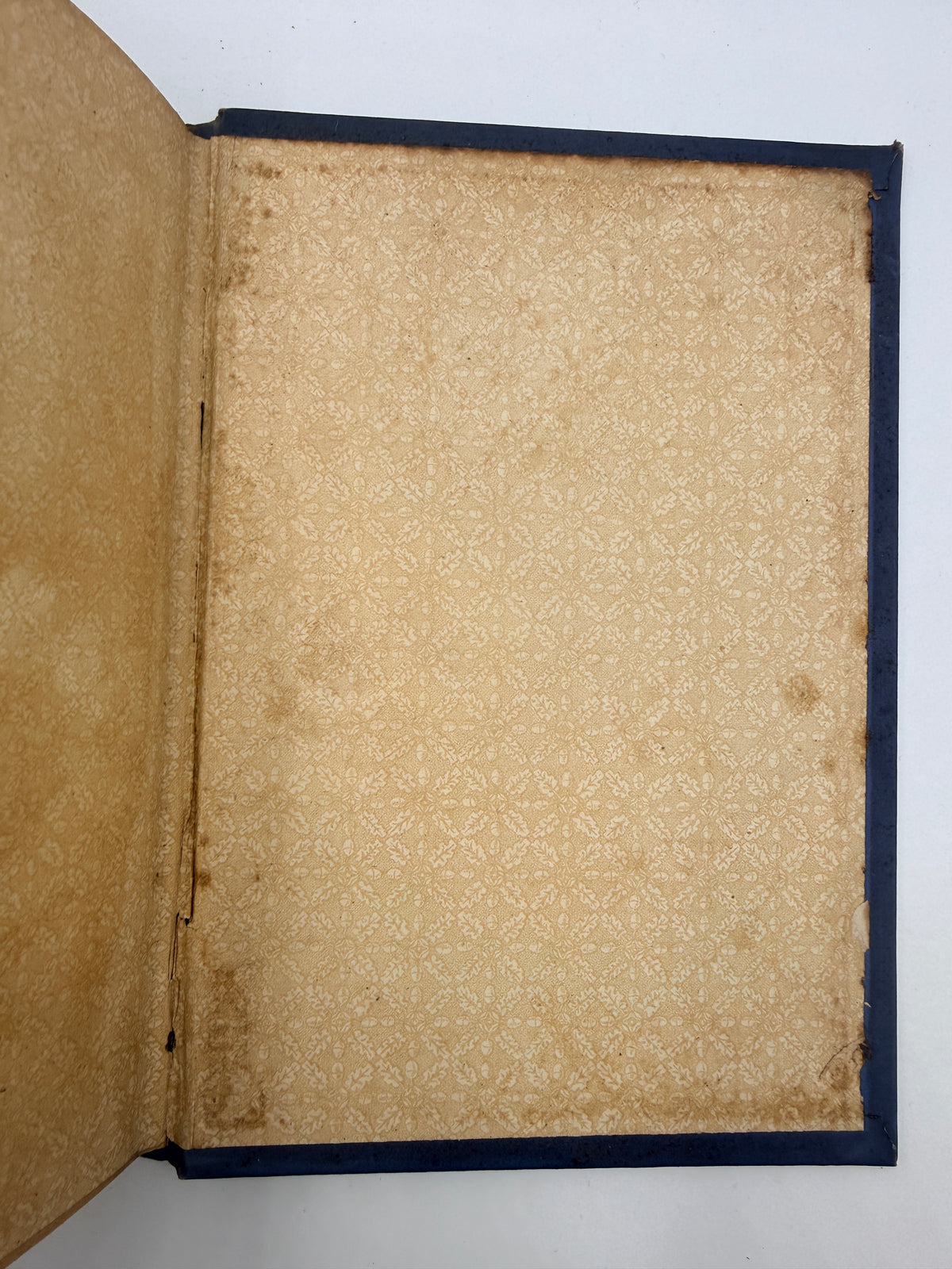 Life in Tangles by Agnes Giberne, Decorative English Binding