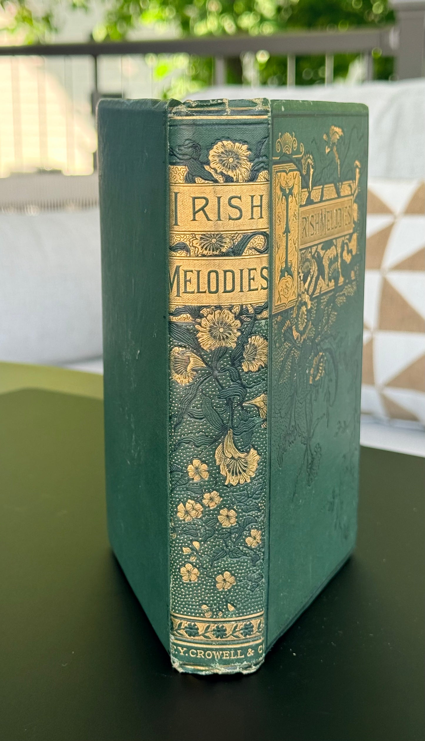 Irish Melodies by Thomas Moore, 1884