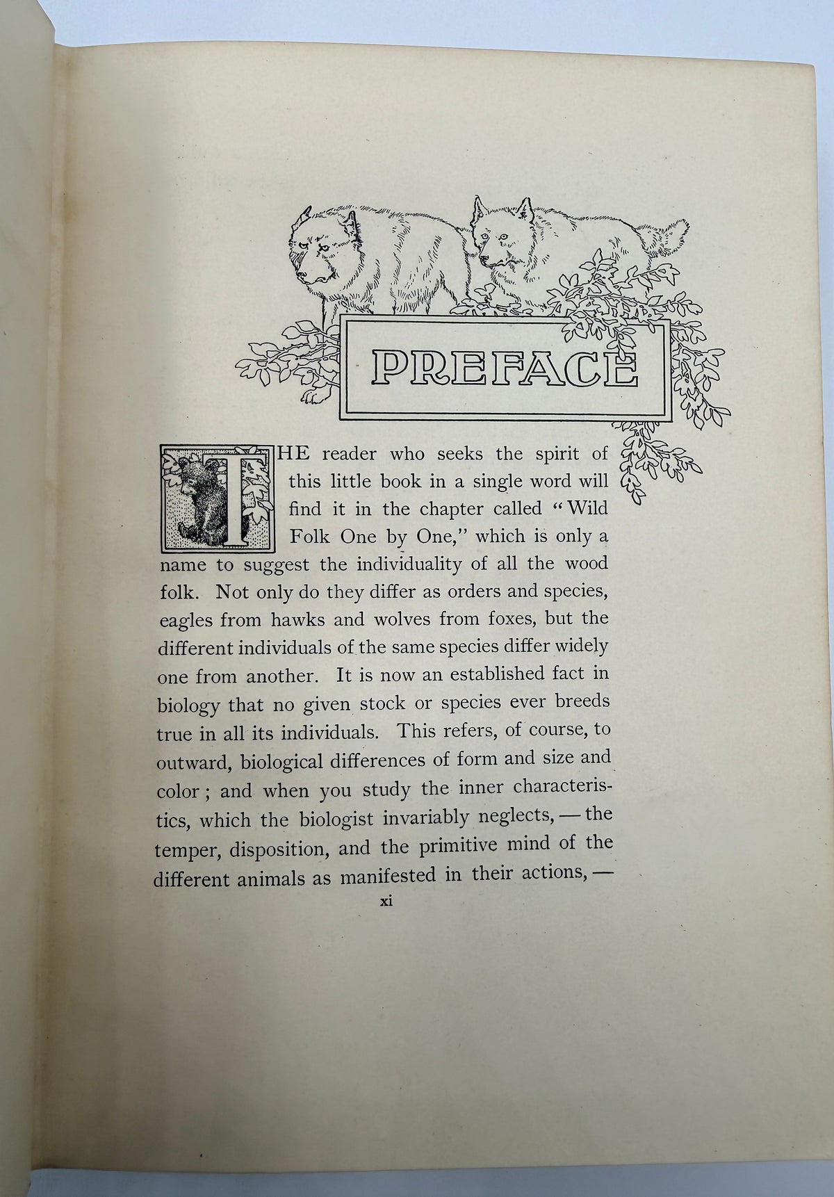 Whose Home is the Wilderness, 1907