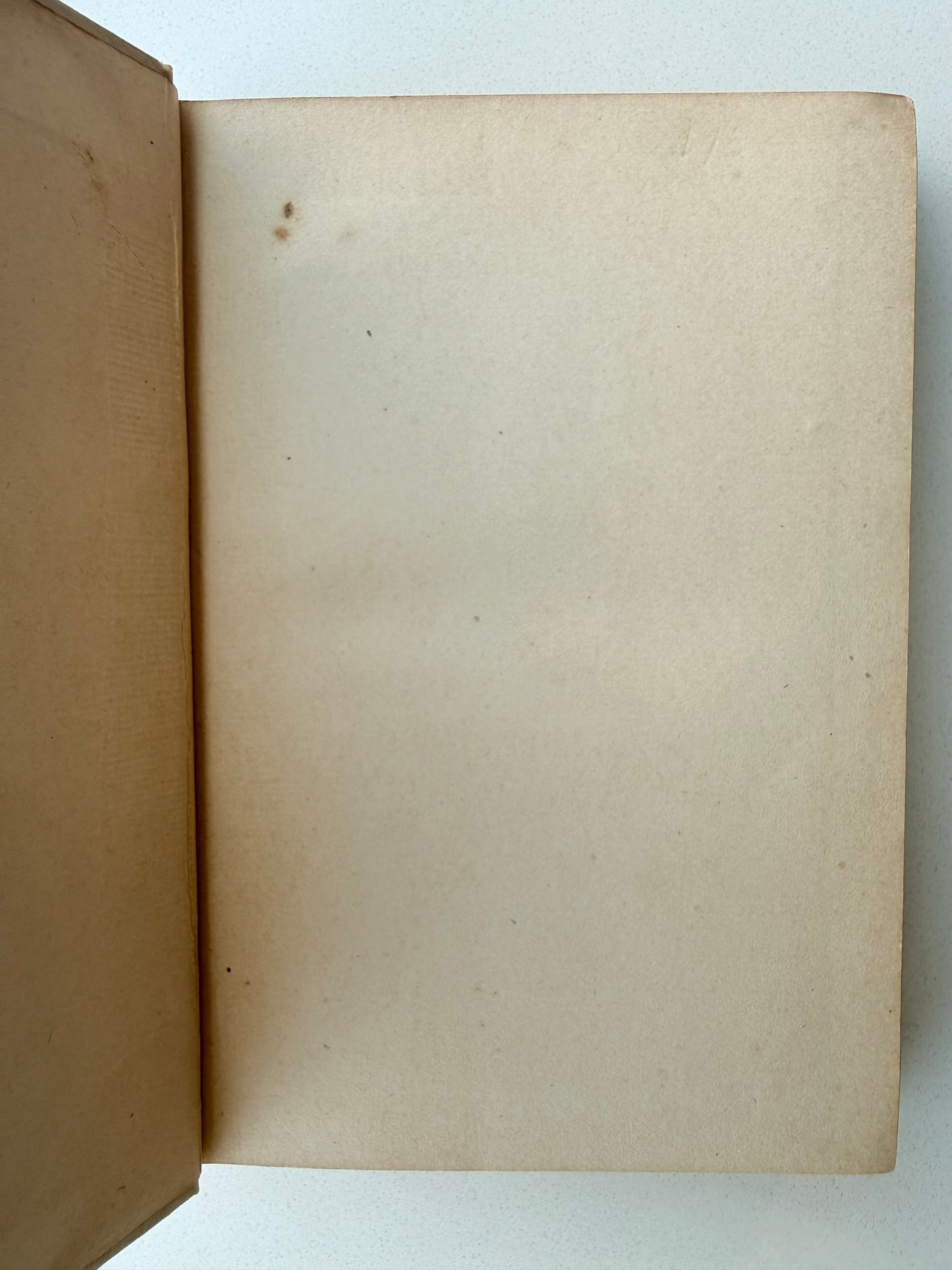 Edgar Allen Poe’s Poetical Works with Memoir (~1895)