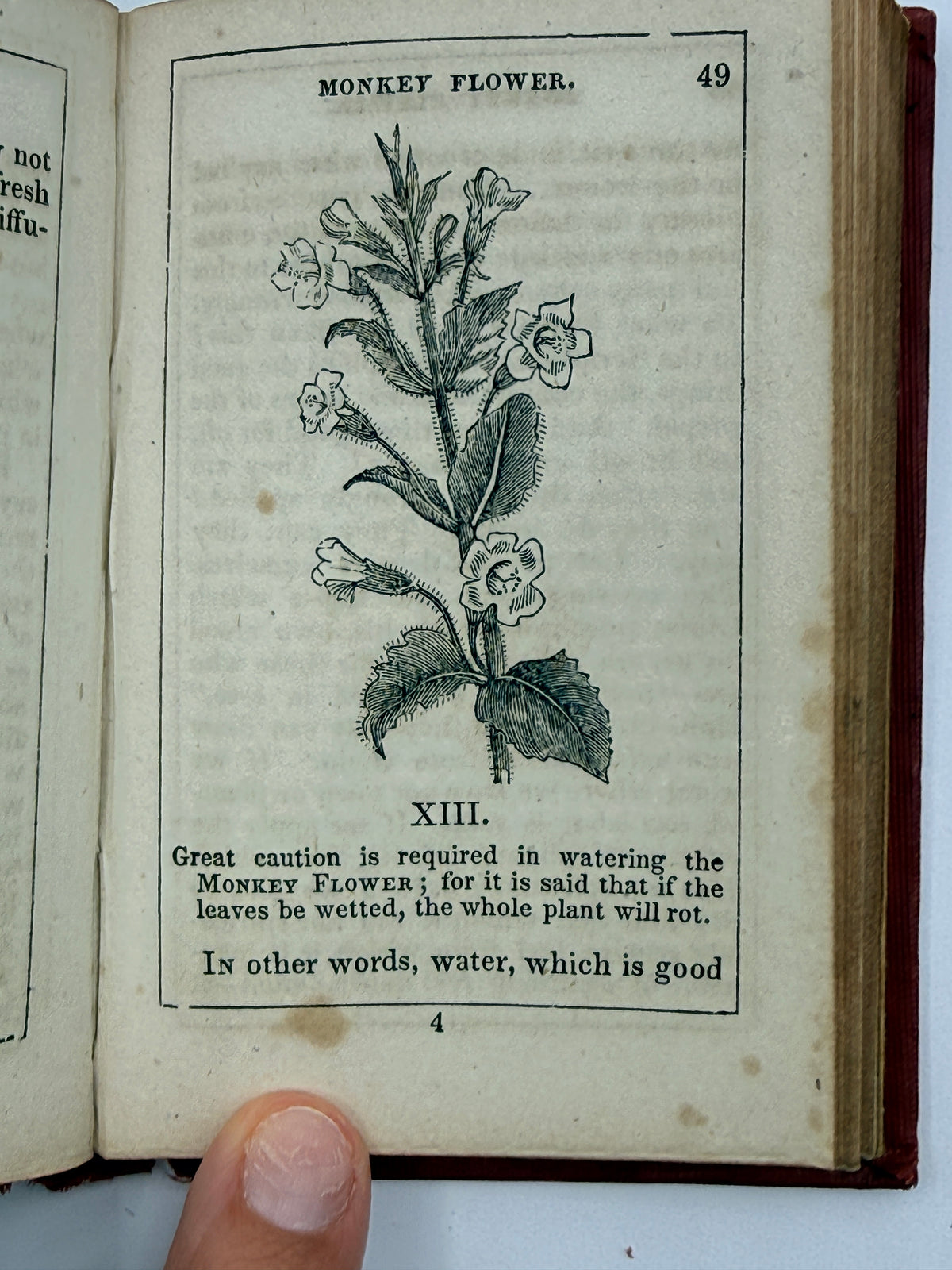 Thoughts Among Flowers, Small Book, 1853
