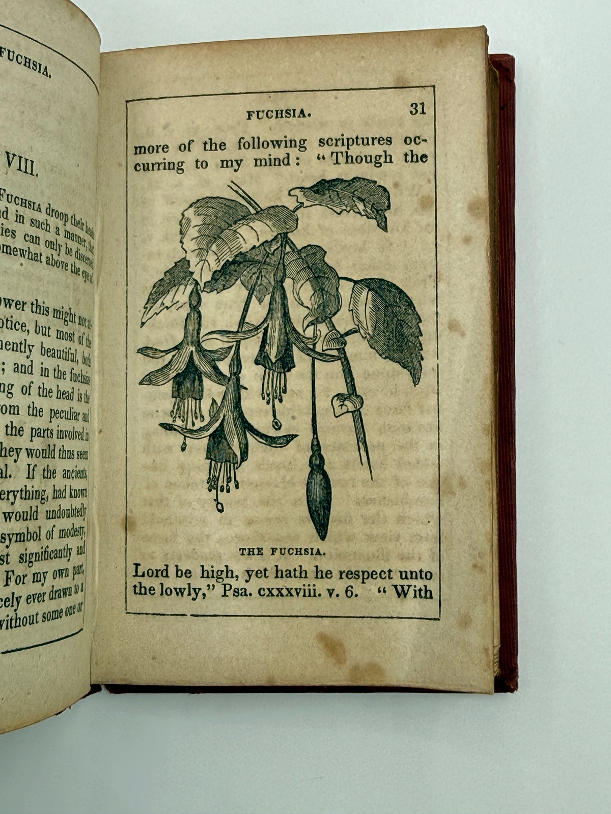 Thoughts Among Flowers, Small Book, 1853