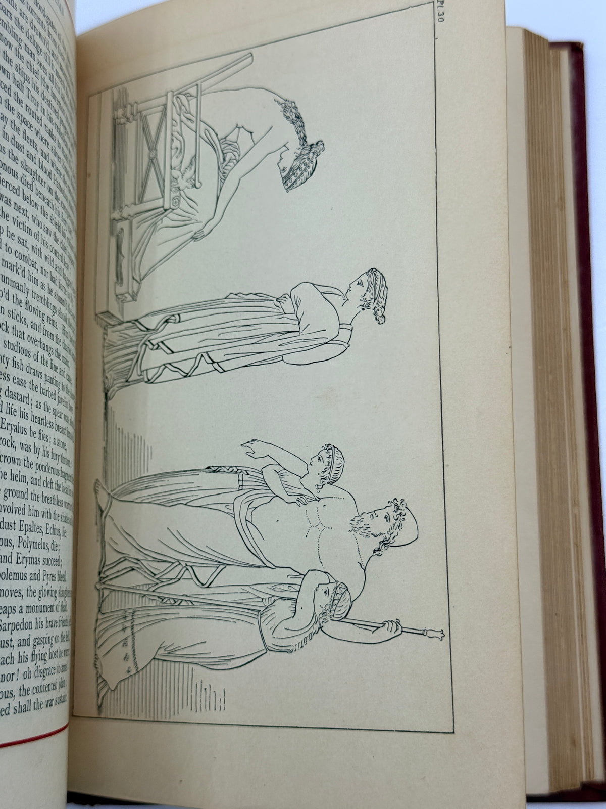 Homer’s Iliad, Alexander Pope Edition