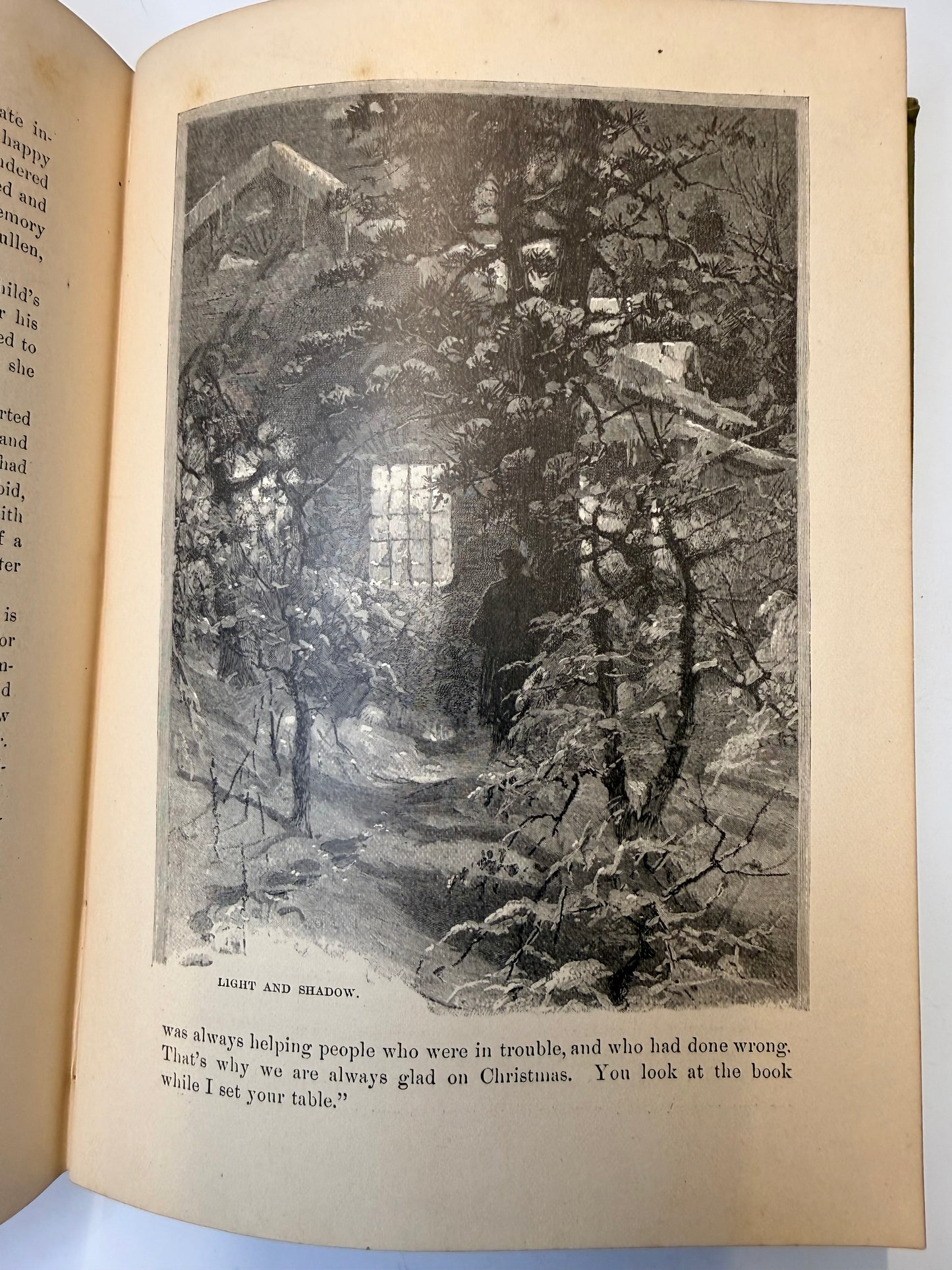 Nature’s Serial Story, 1885