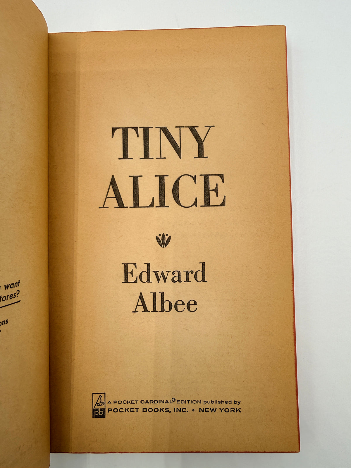 Tiny Alice by Edward Albee
