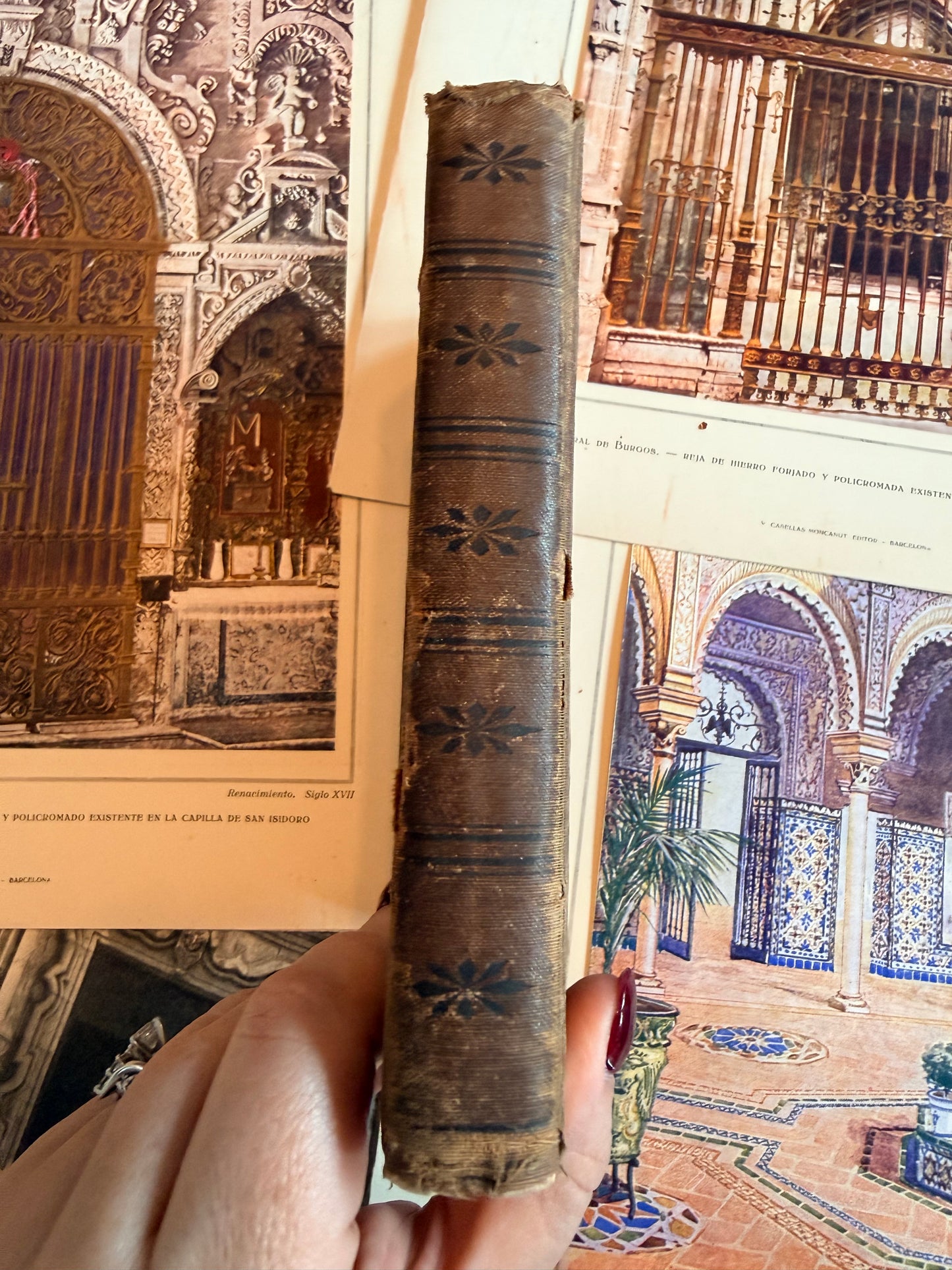 Antique New Testament, 1882