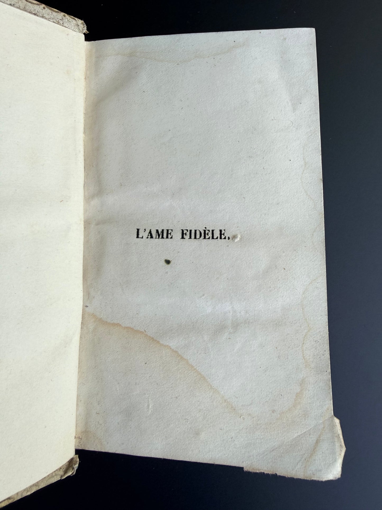 French Cartonnage Book, L’Ame Fidele