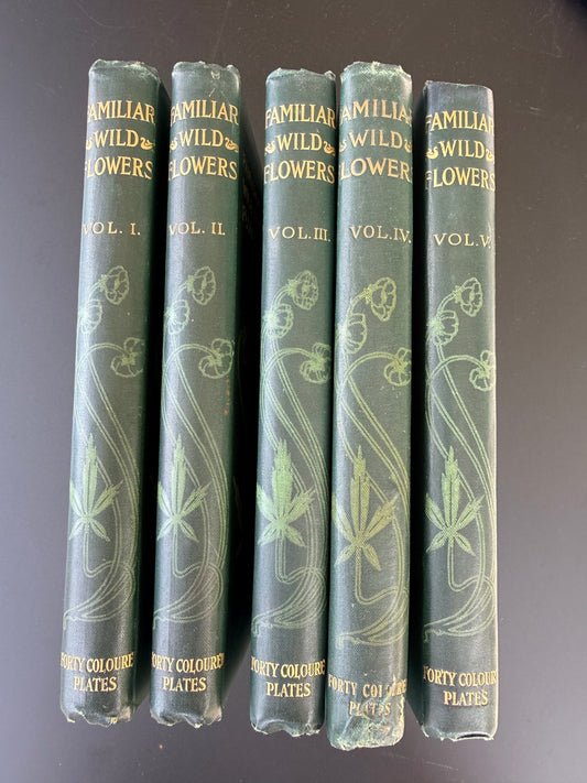 Familiar Wild Flowers, F Edward Hulme