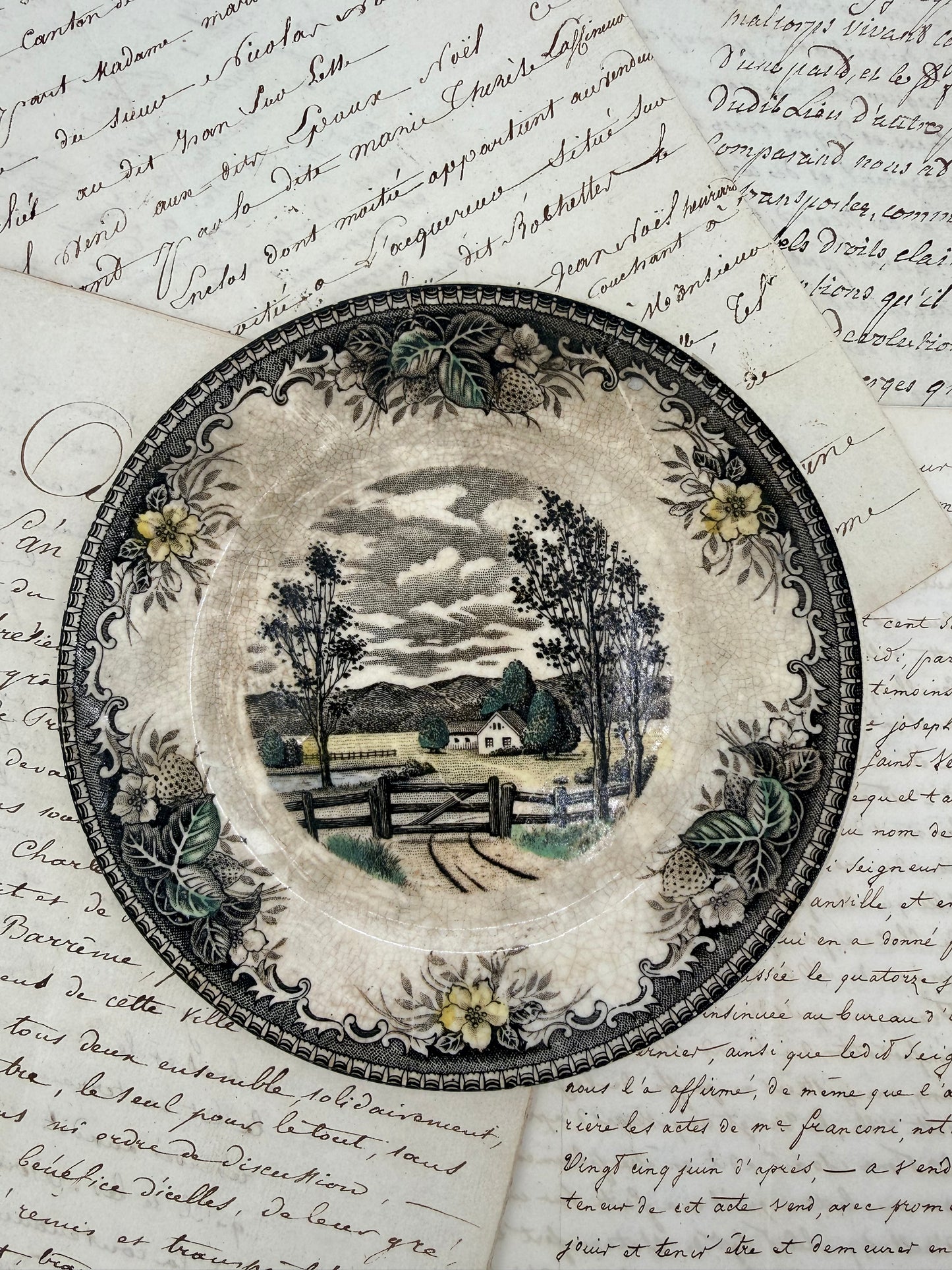 Vintage Meadow Country Plate, 6.35”