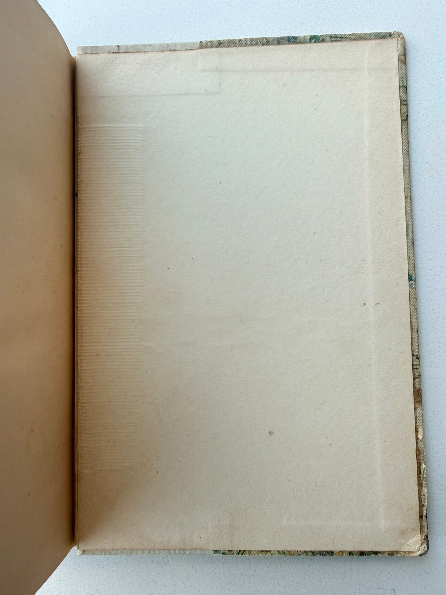 Edgar Allen Poe’s Poetical Works with Memoir (~1895)
